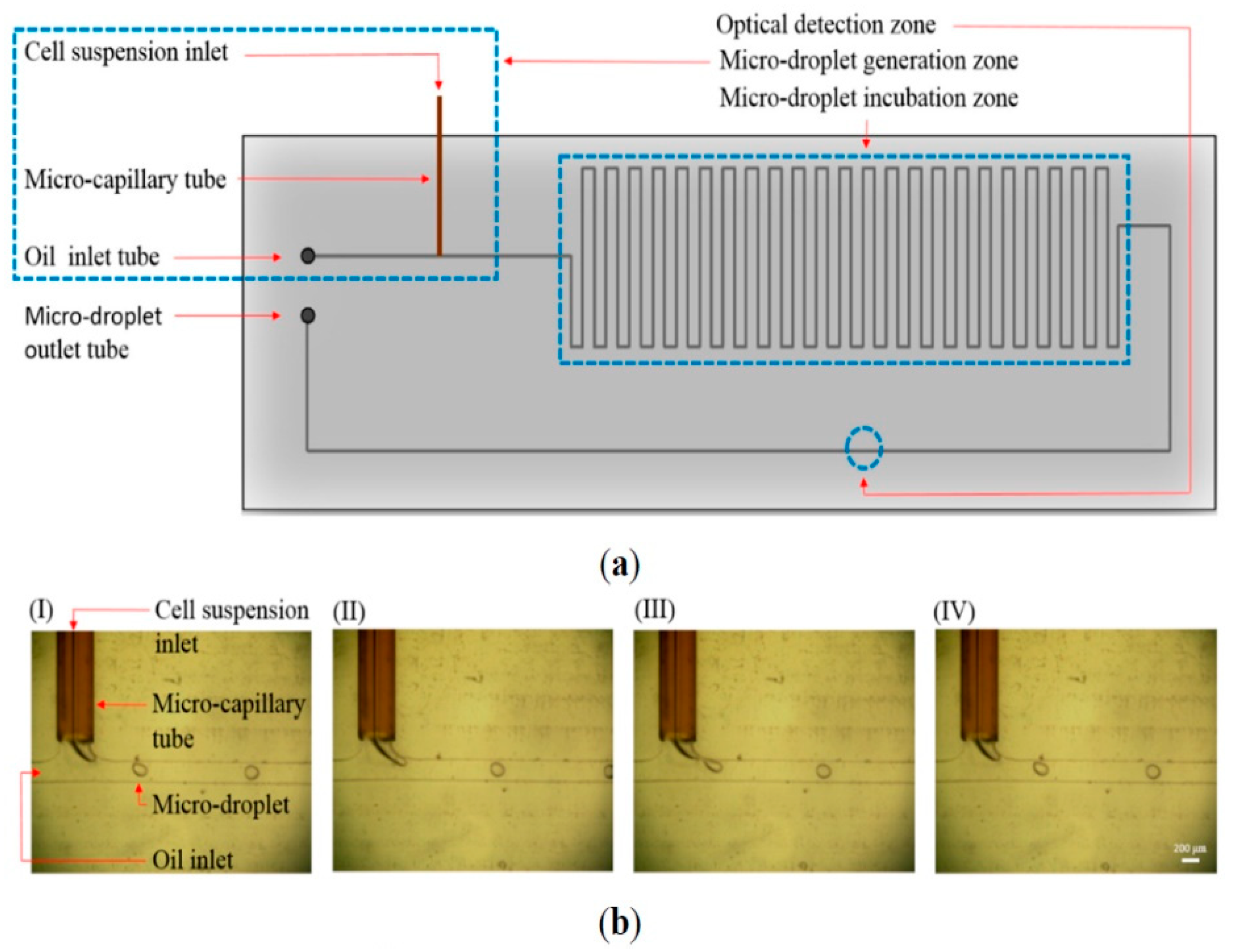Micromachines 11 00531 g013 Micromachines 11 00531 g013