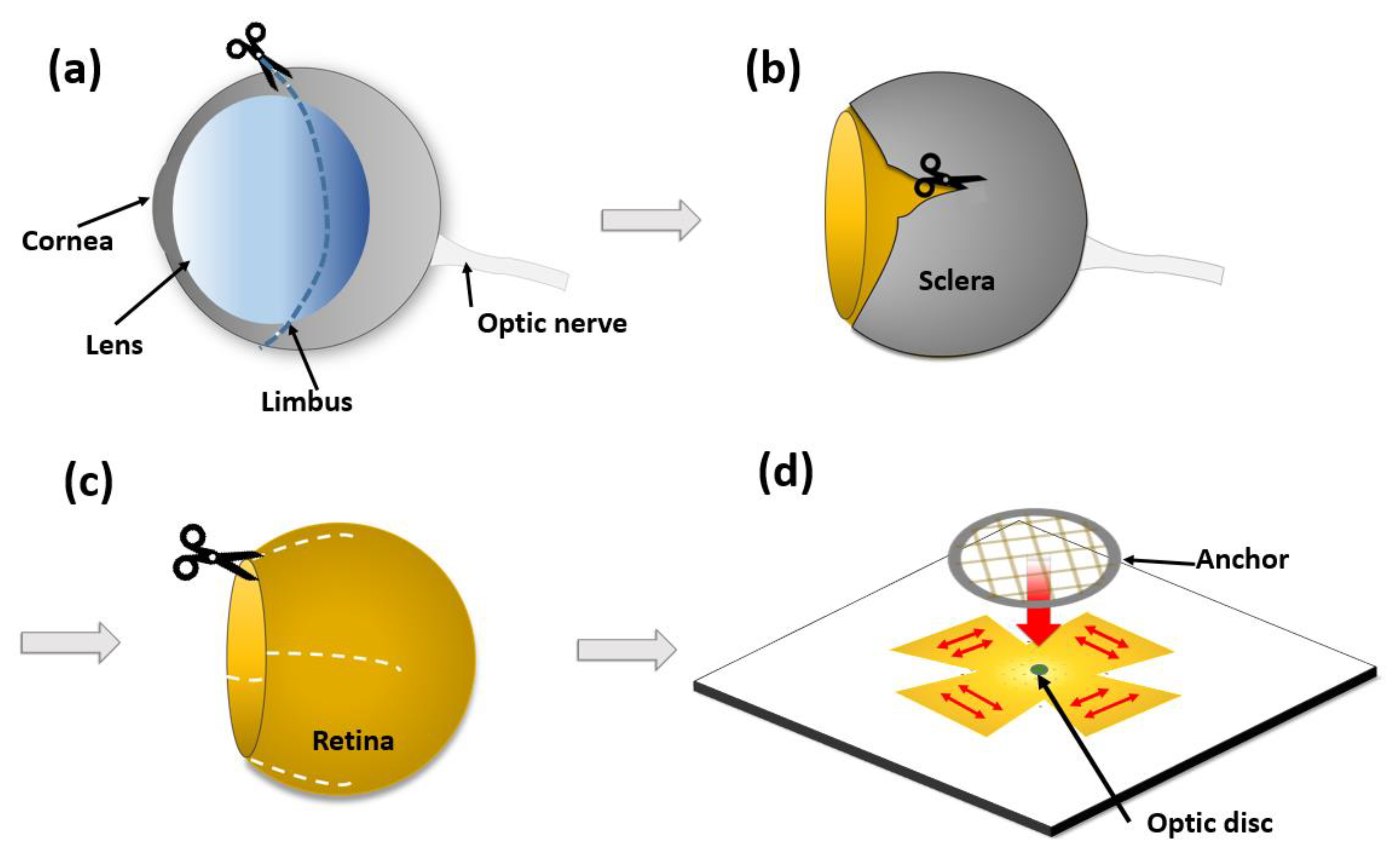 Micromachines 11 00538 g001