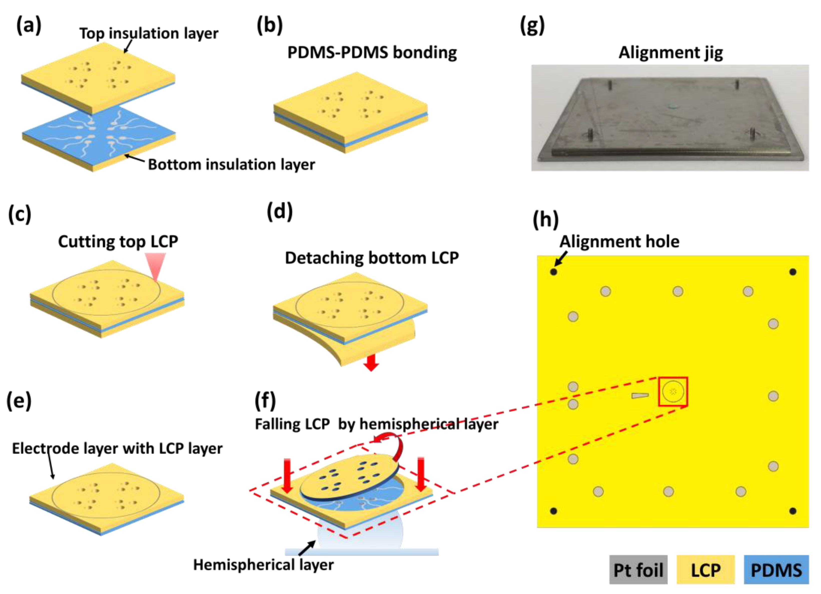 Micromachines 11 00538 g007