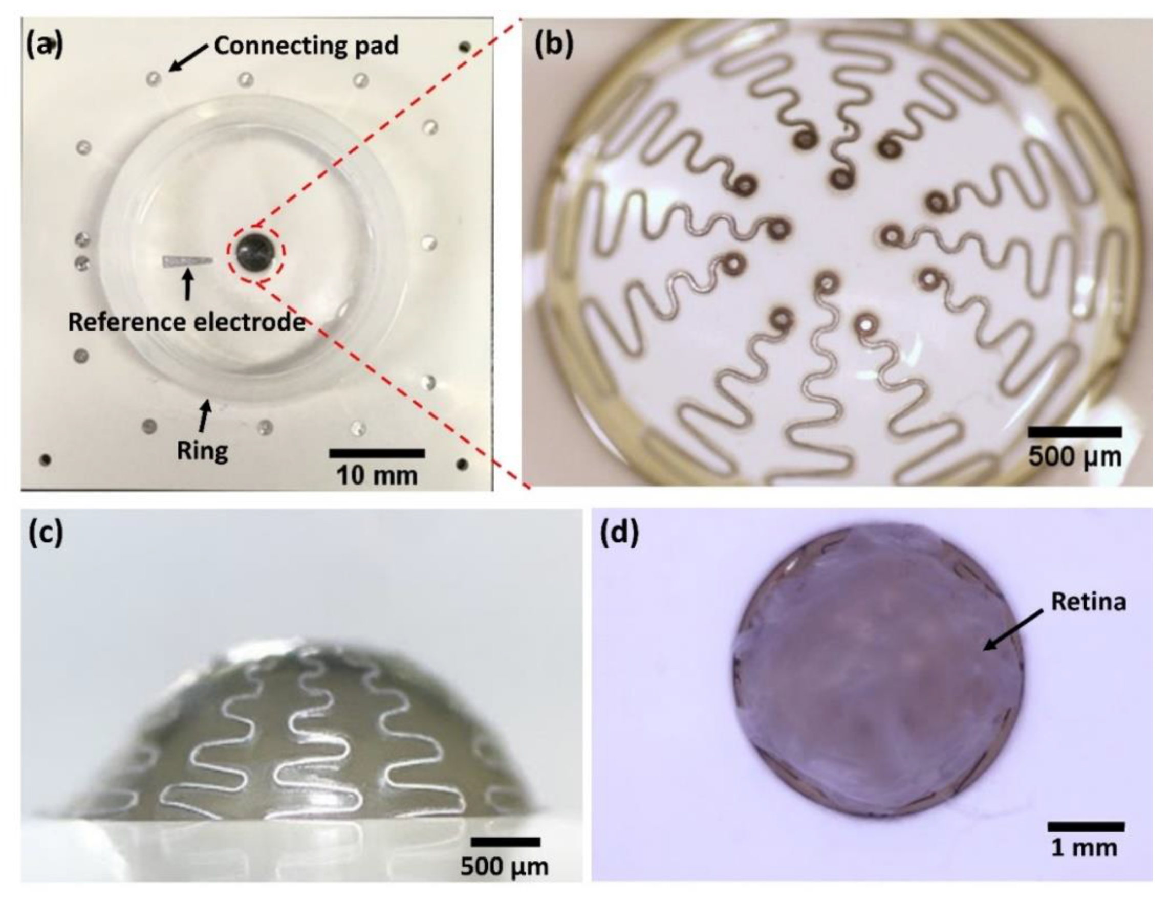 Micromachines 11 00538 g009