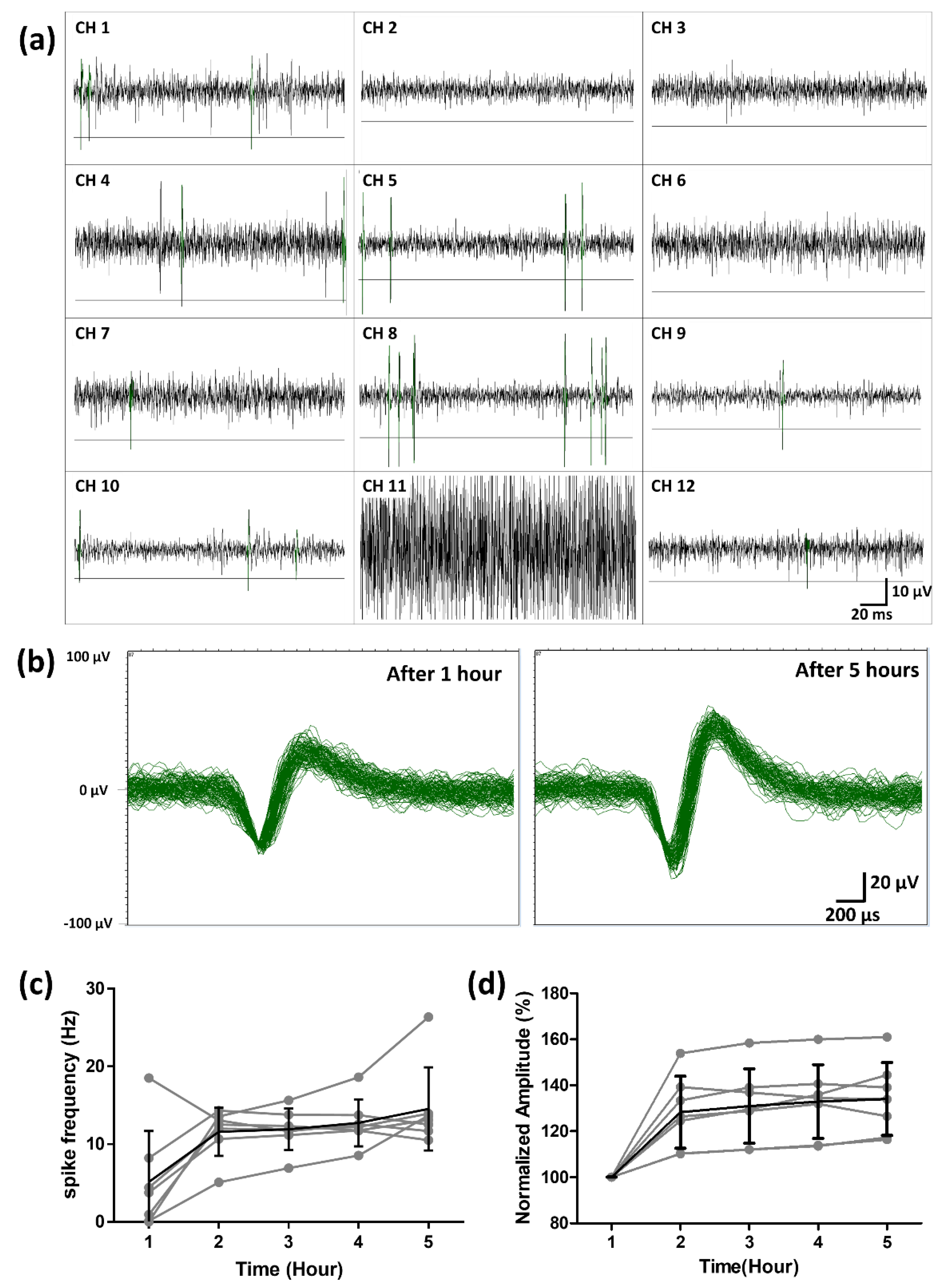 Micromachines 11 00538 g011