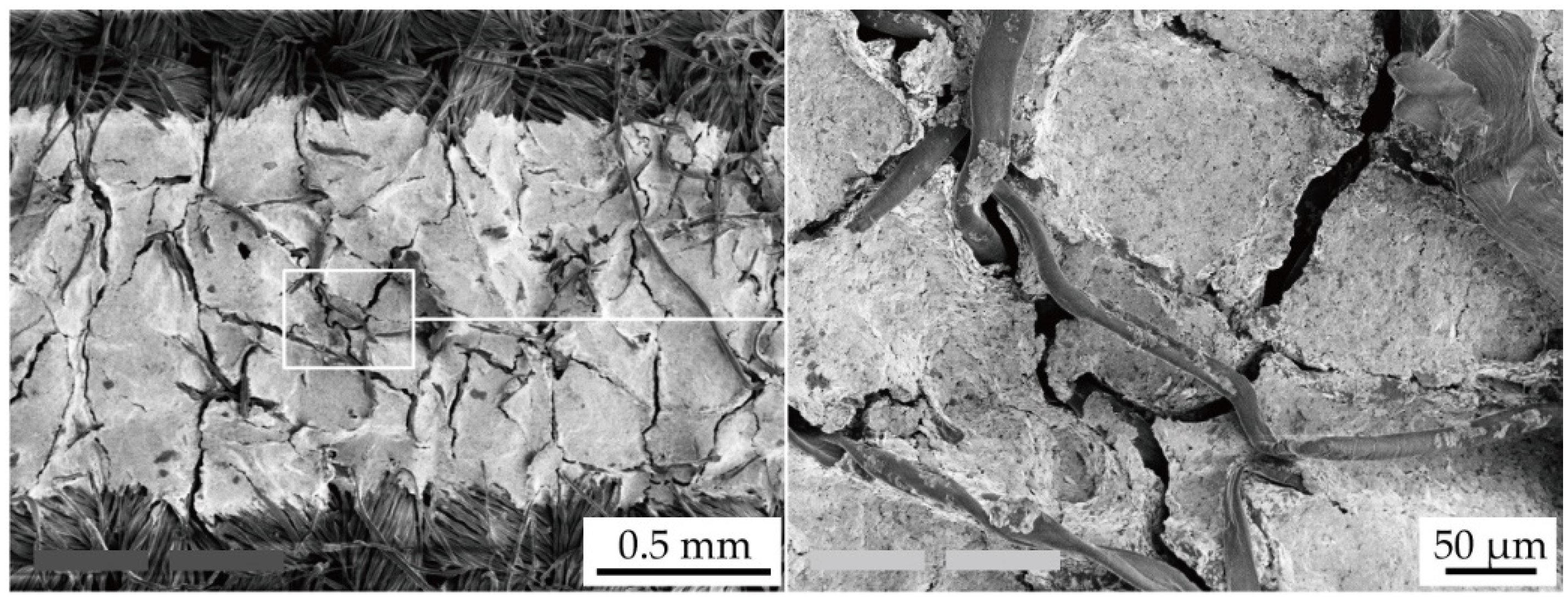Micromachines 11 00539 g009 Micromachines 11 00539 g009