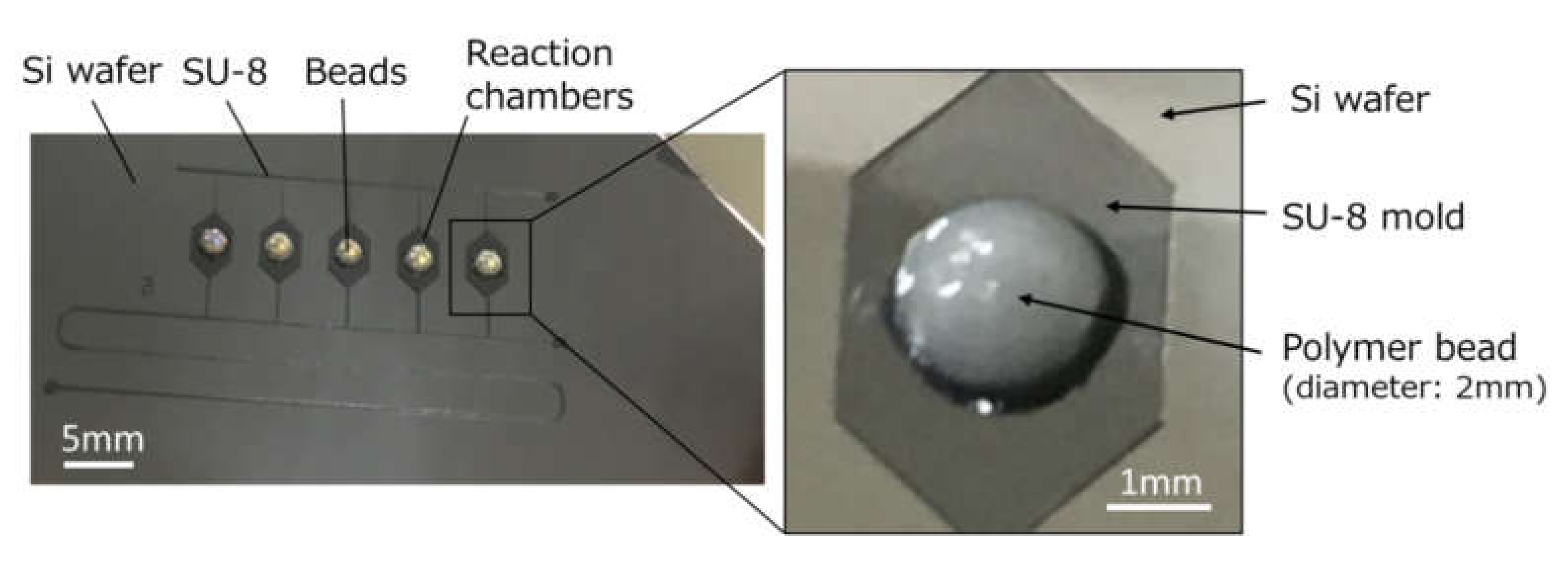Micromachines 11 00540 g004 Micromachines 11 00540 g004