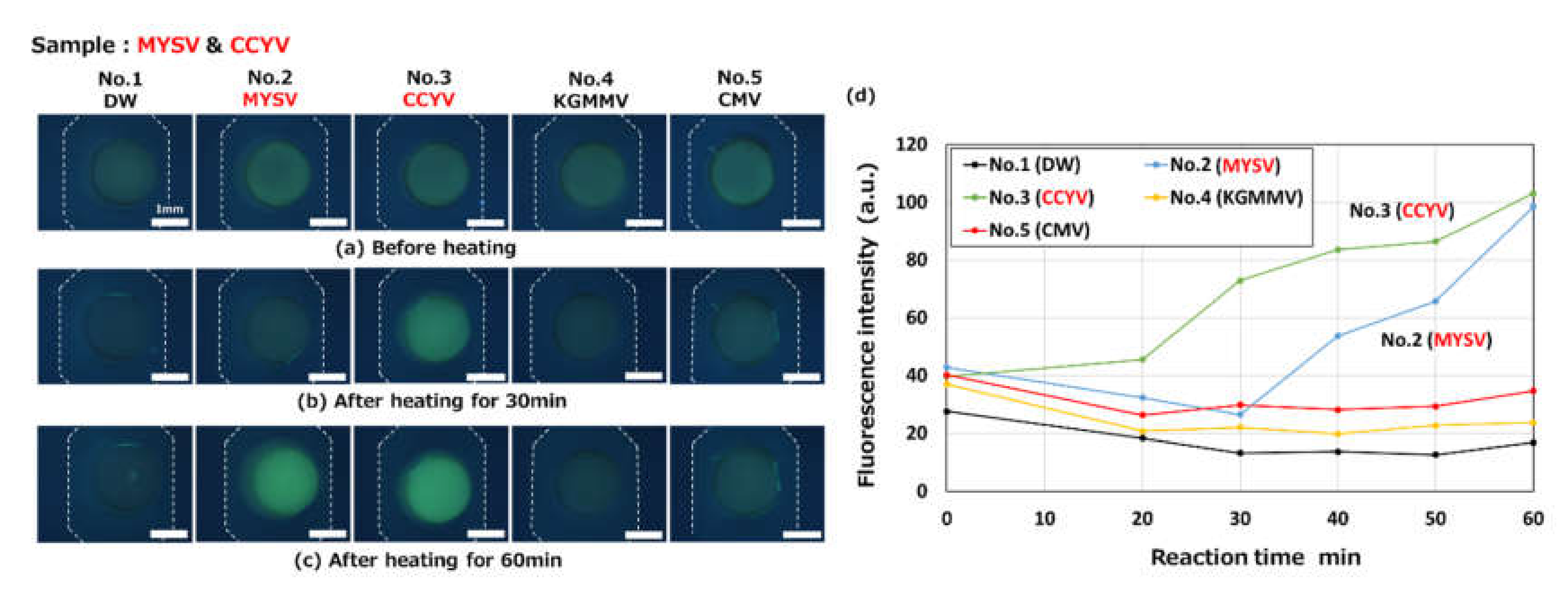 Micromachines 11 00540 g017 Micromachines 11 00540 g017