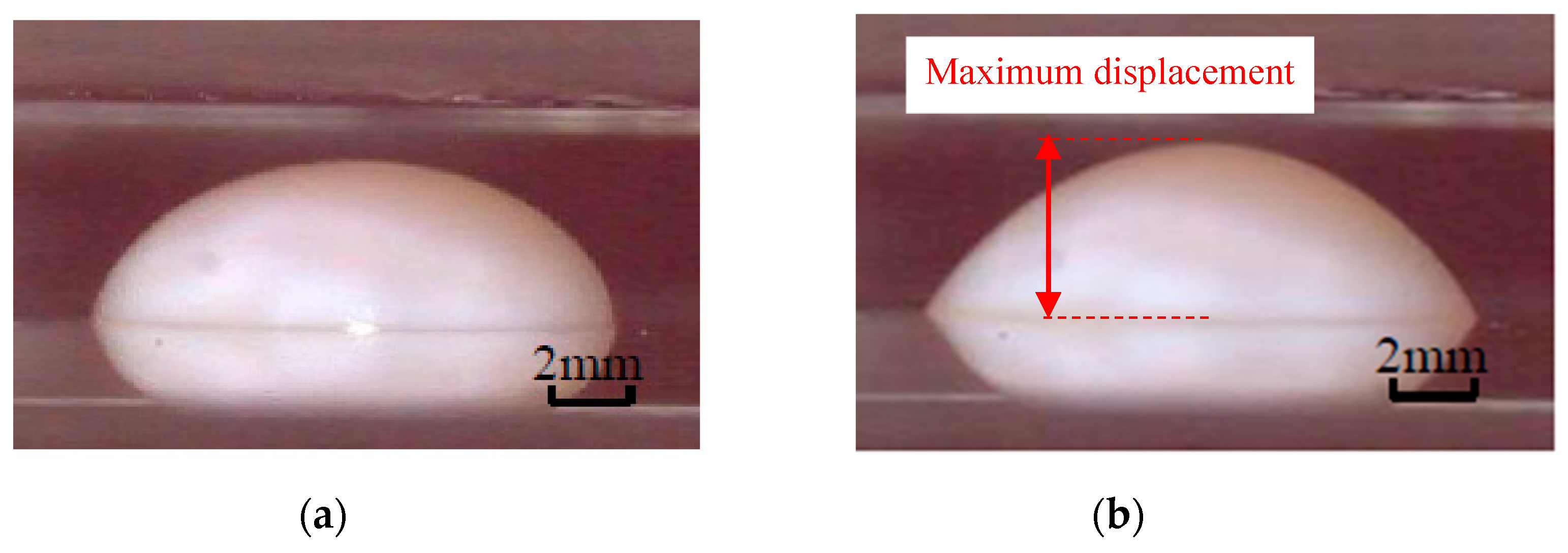 Micromachines 11 00544 g002