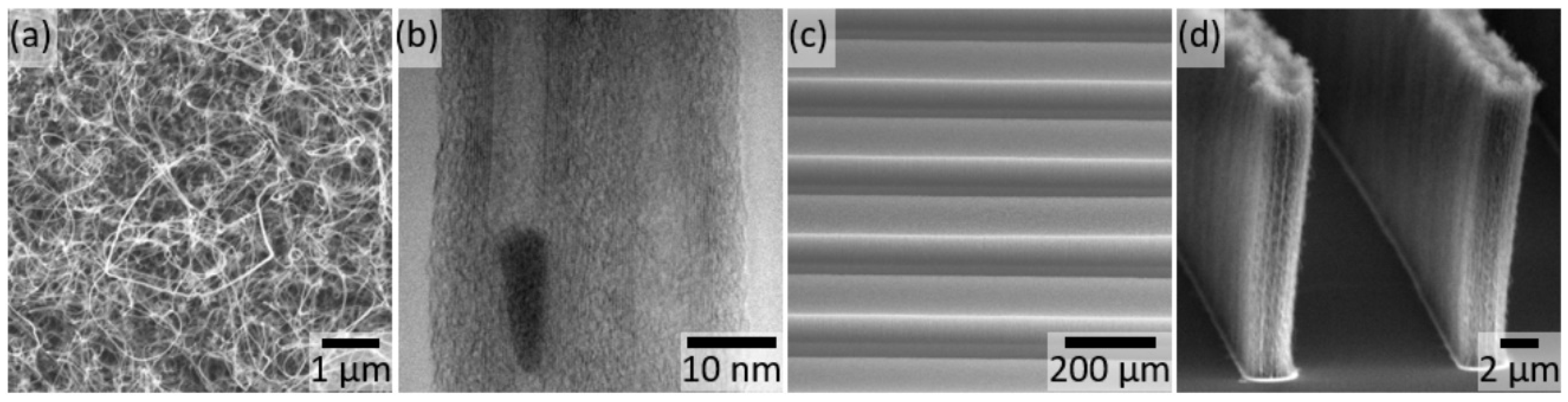 Micromachines 11 00546 g001