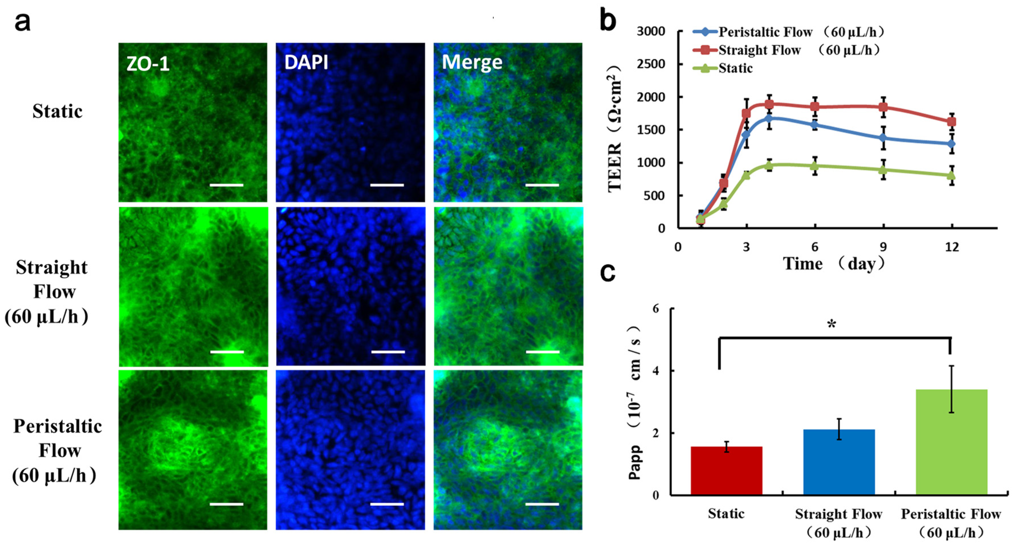 Micromachines 11 00551 g004