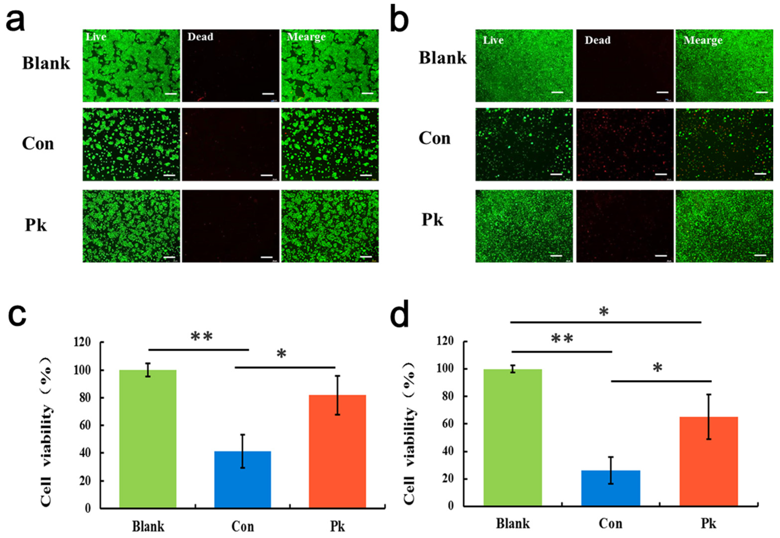 Micromachines 11 00551 g007