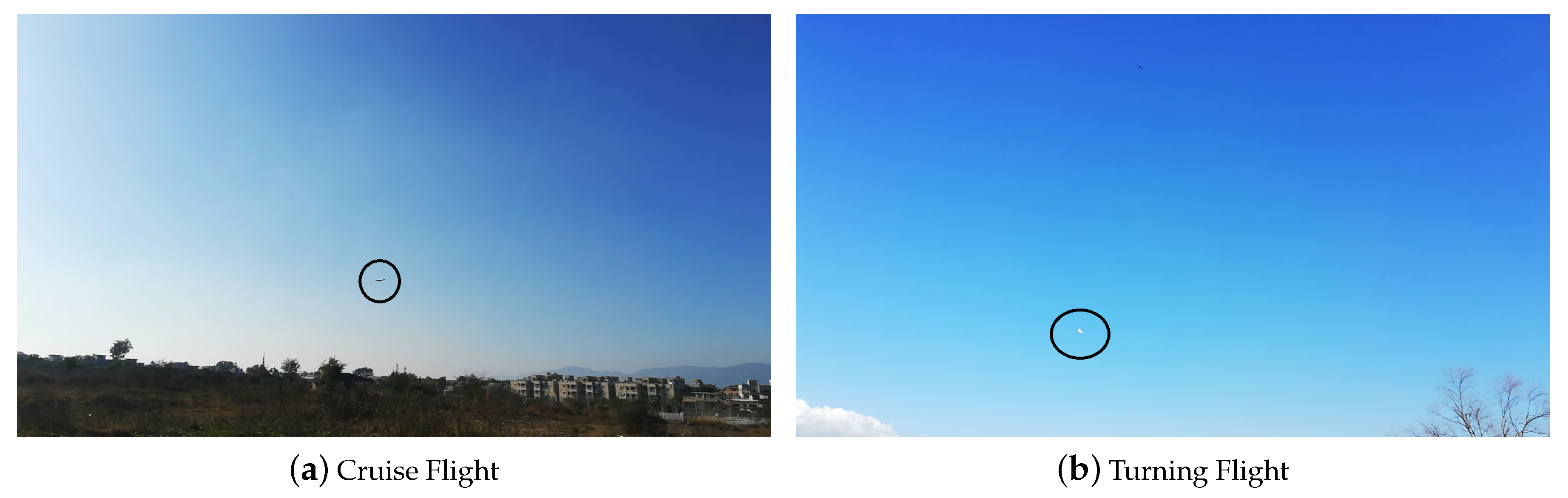 Micromachines 11 00553 g008