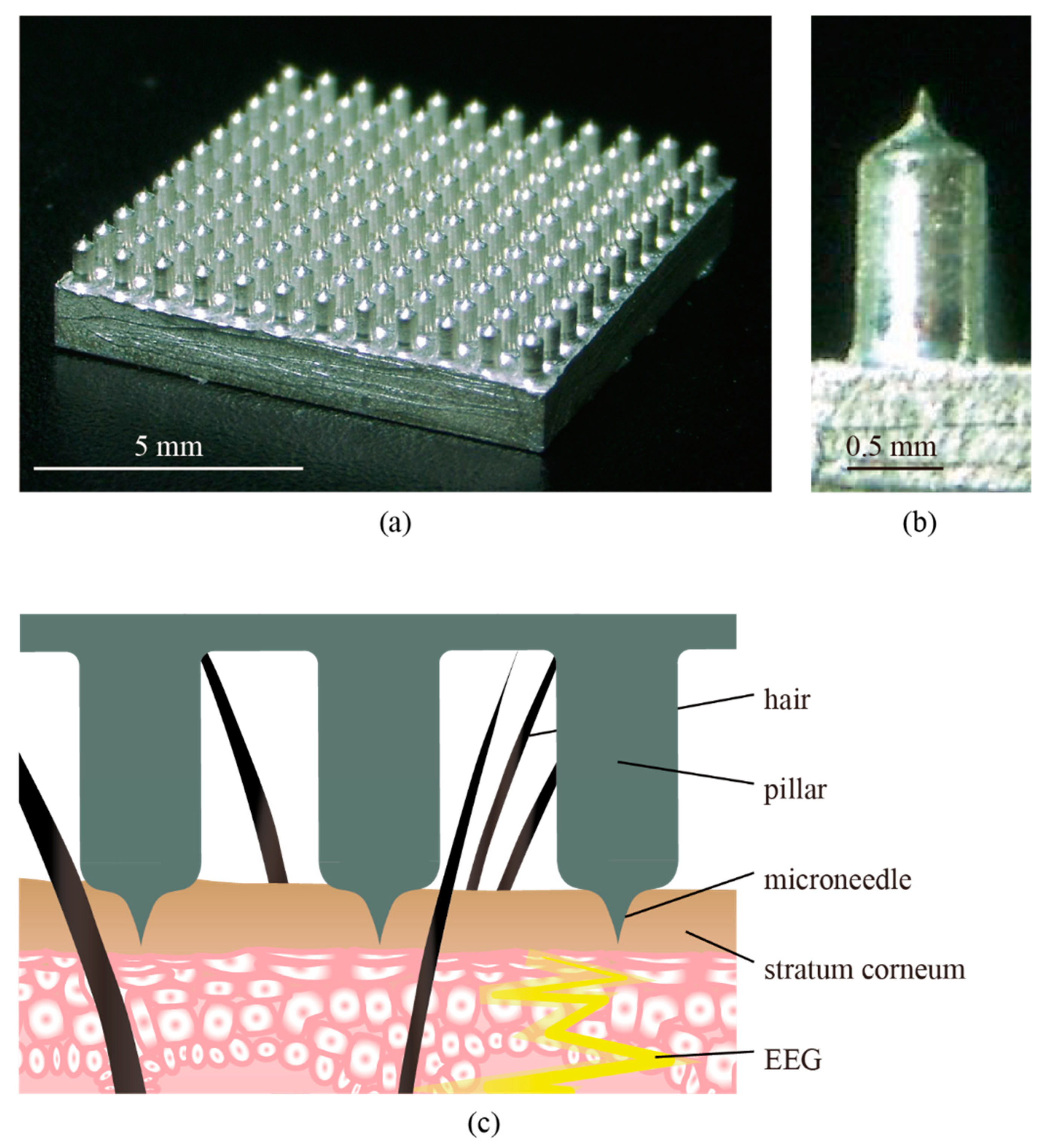 Micromachines 11 00556 g001 Micromachines 11 00556 g001