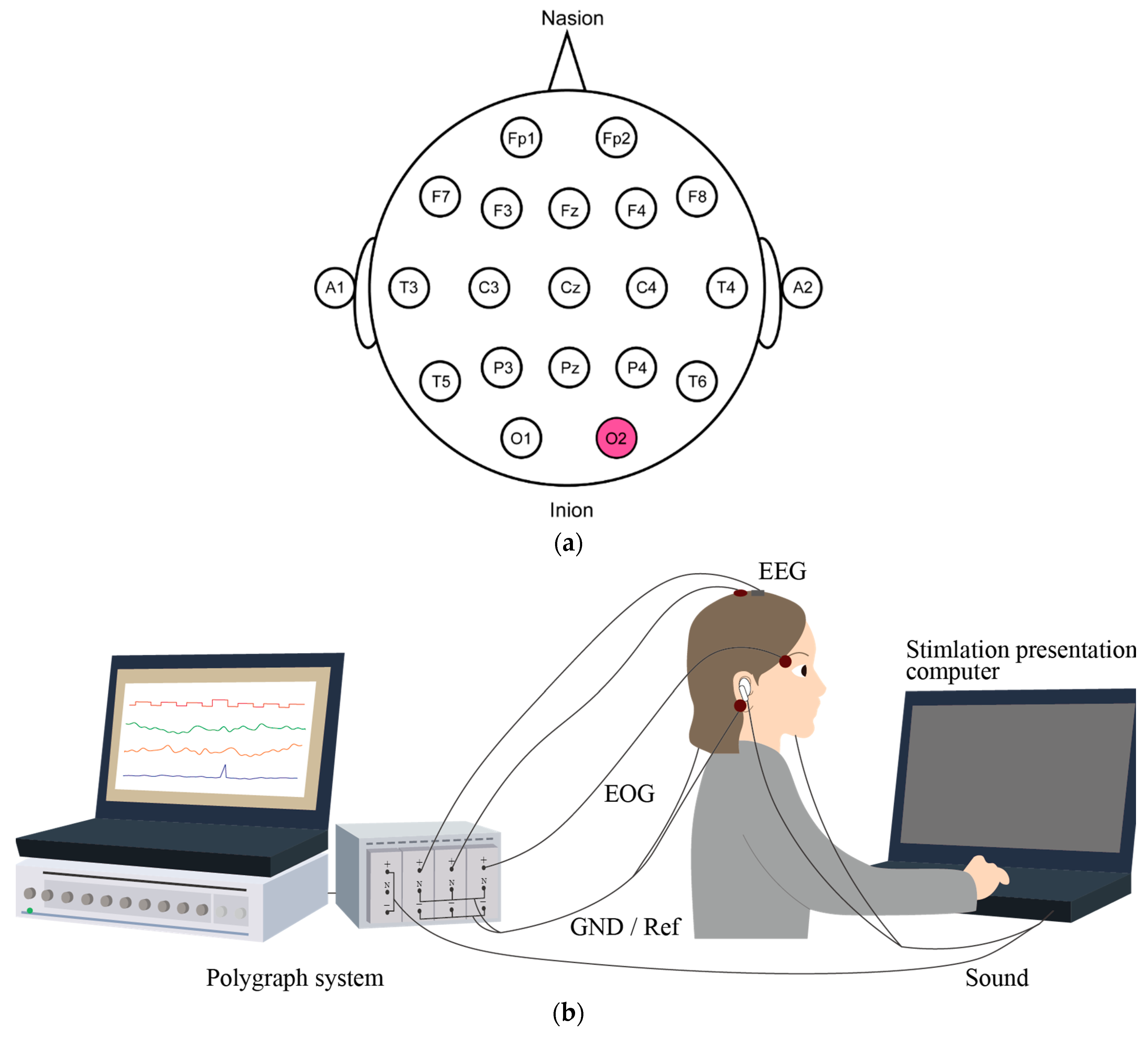 Micromachines 11 00556 g002 Micromachines 11 00556 g002