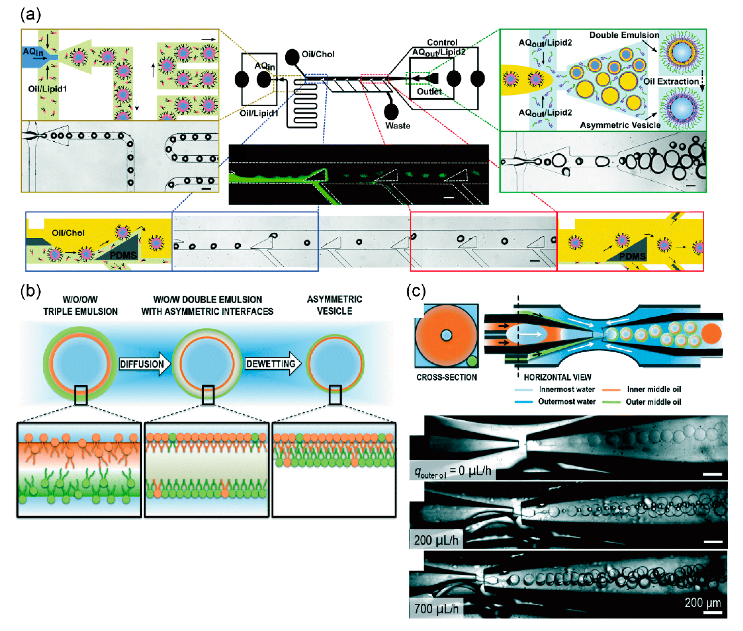 Micromachines 11 00559 g003 Micromachines 11 00559 g003
