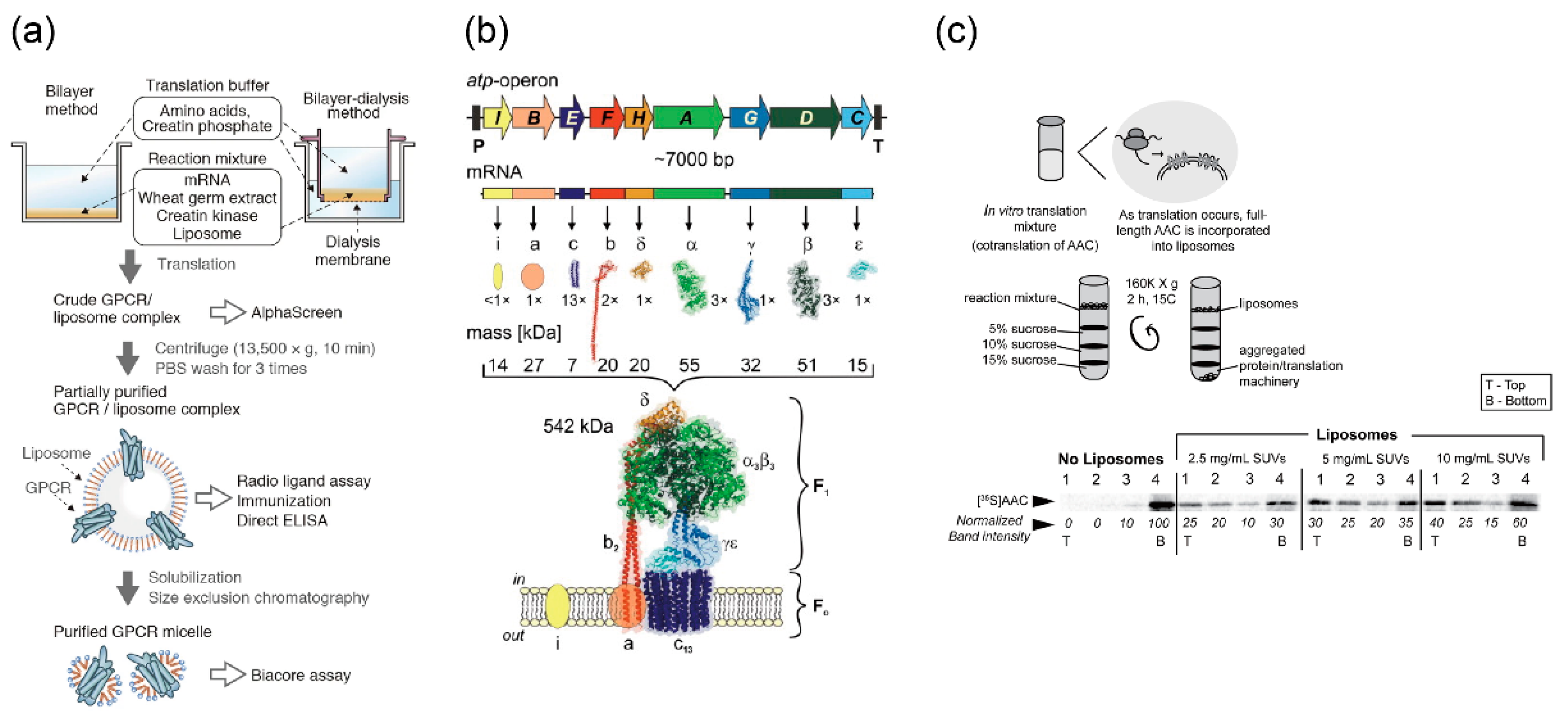 Micromachines 11 00559 g005 Micromachines 11 00559 g005