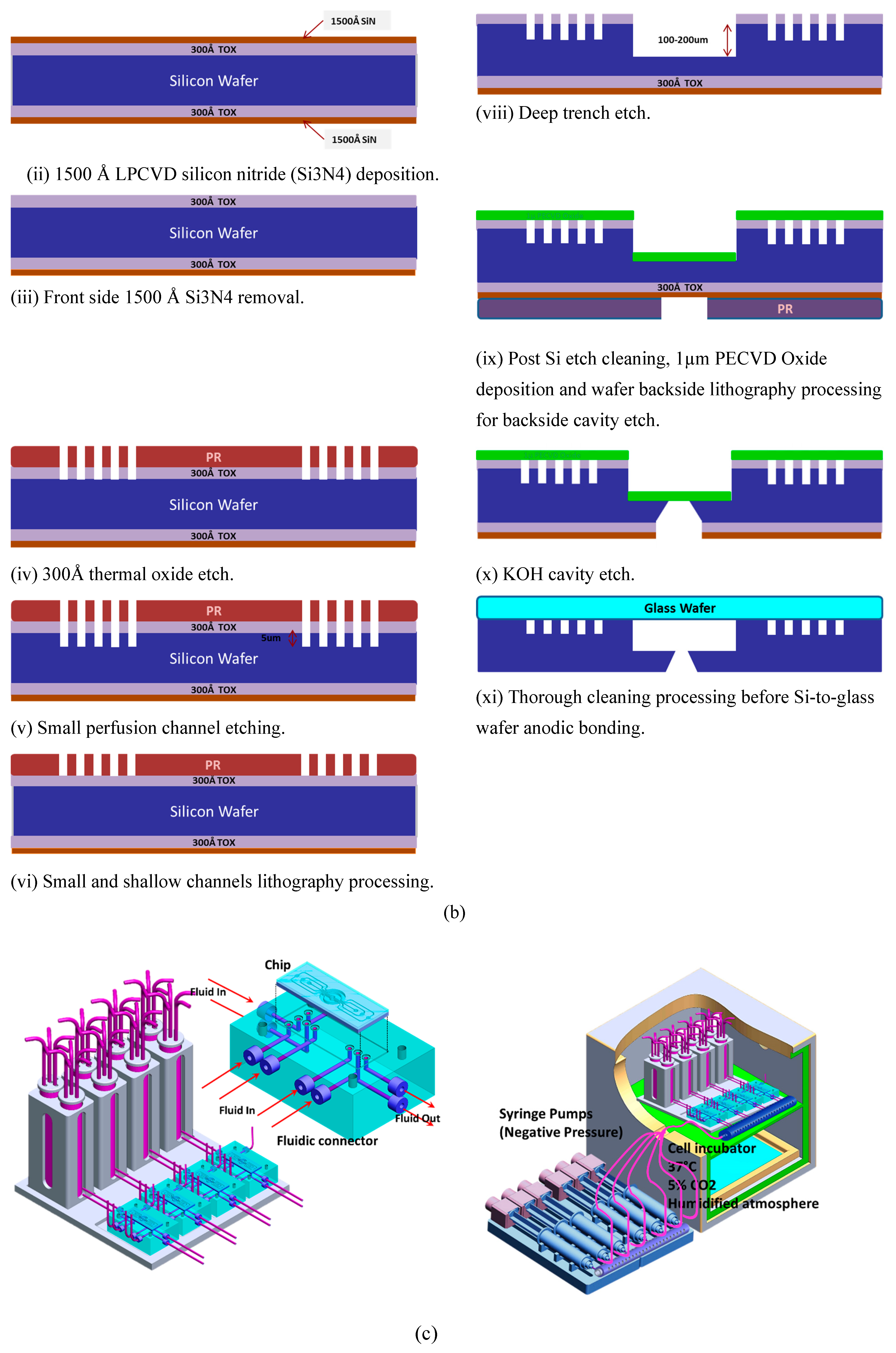 Micromachines 11 00565 g003b Micromachines 11 00565 g003b