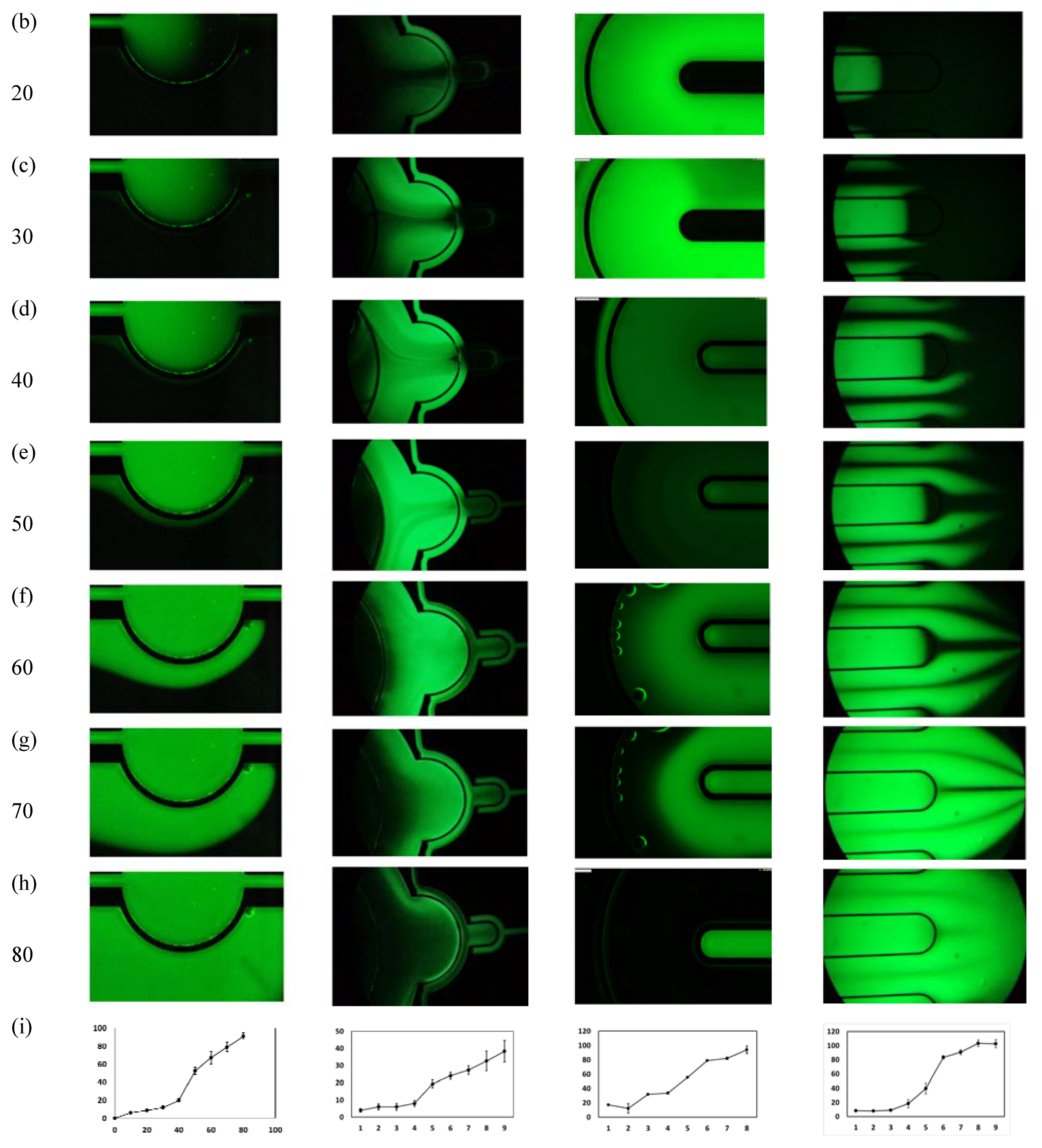Micromachines 11 00565 g005b Micromachines 11 00565 g005b