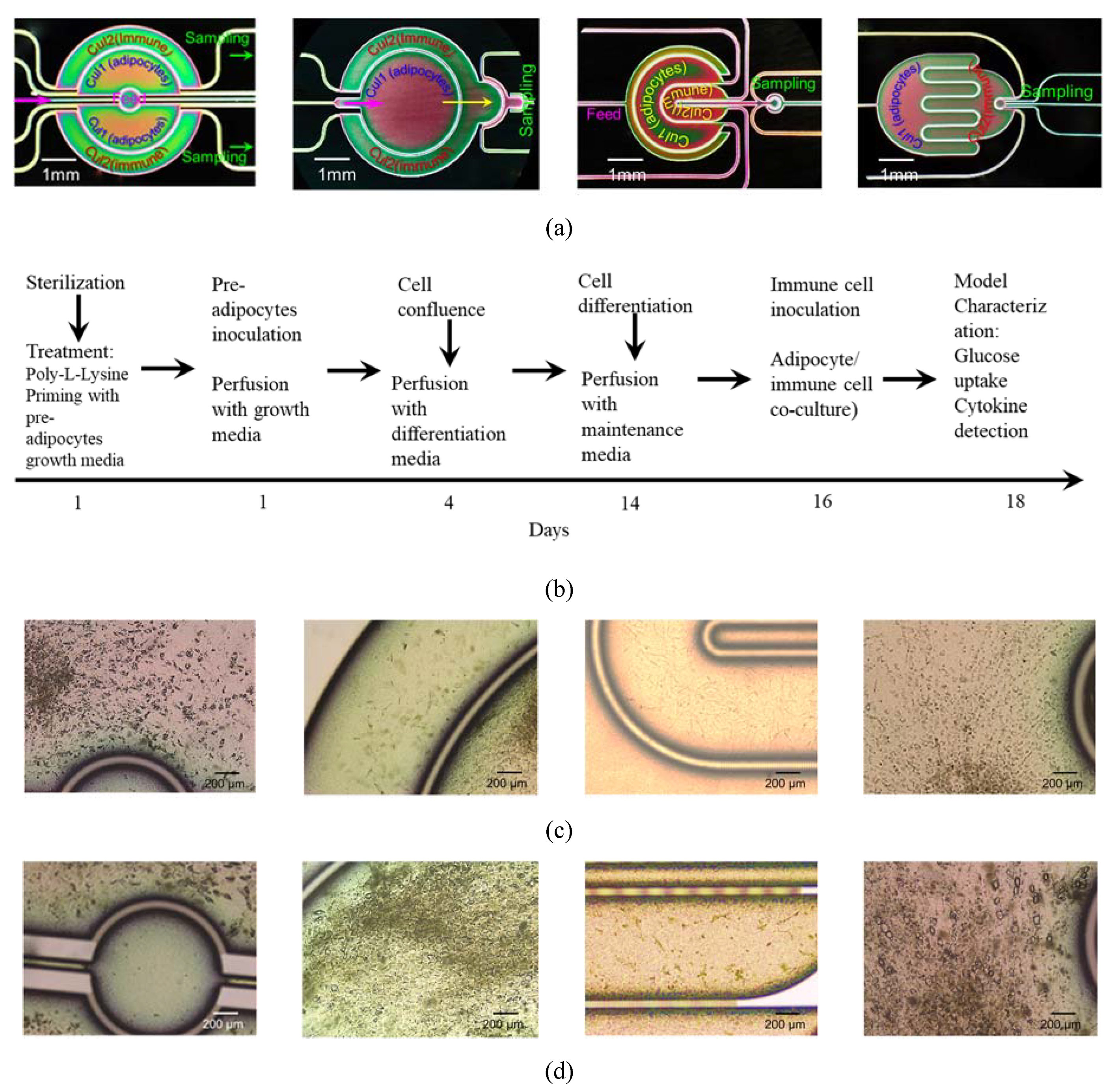 Micromachines 11 00565 g006a Micromachines 11 00565 g006a