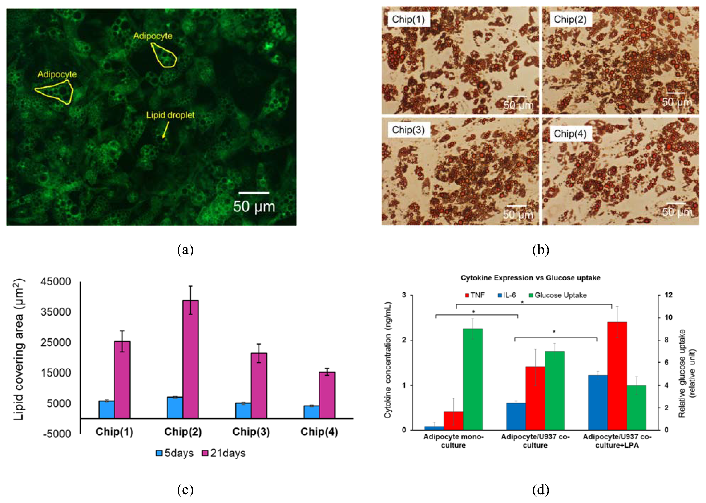 Micromachines 11 00565 g007 Micromachines 11 00565 g007