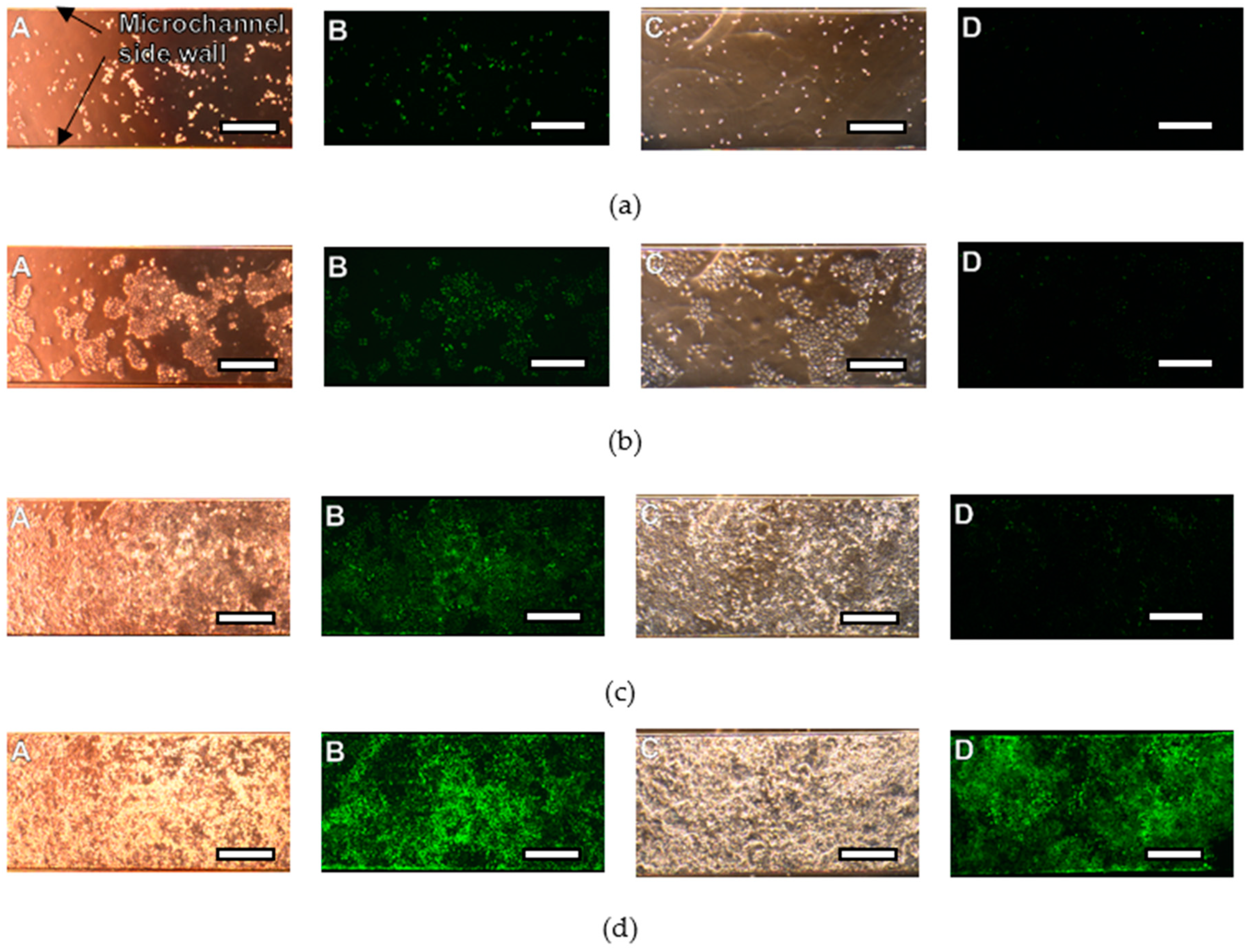 Micromachines 11 00571 g004 Micromachines 11 00571 g004