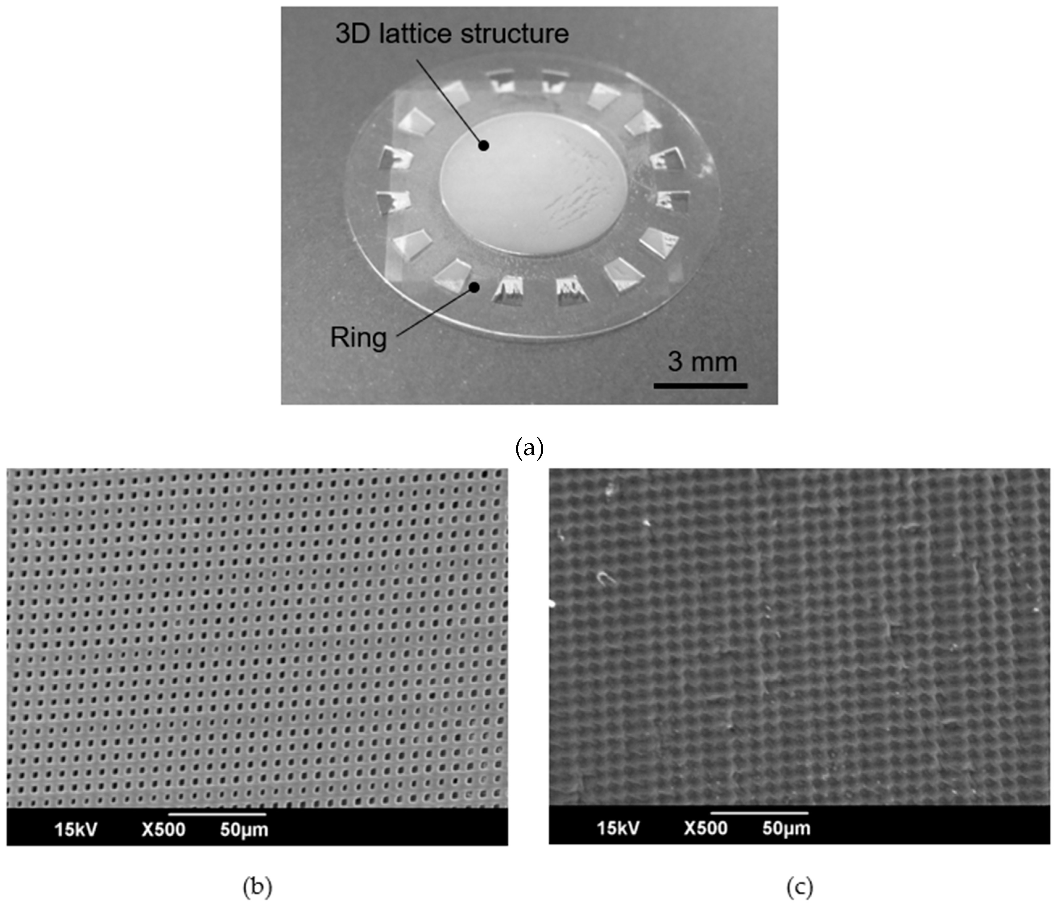 Micromachines 11 00571 g006 Micromachines 11 00571 g006