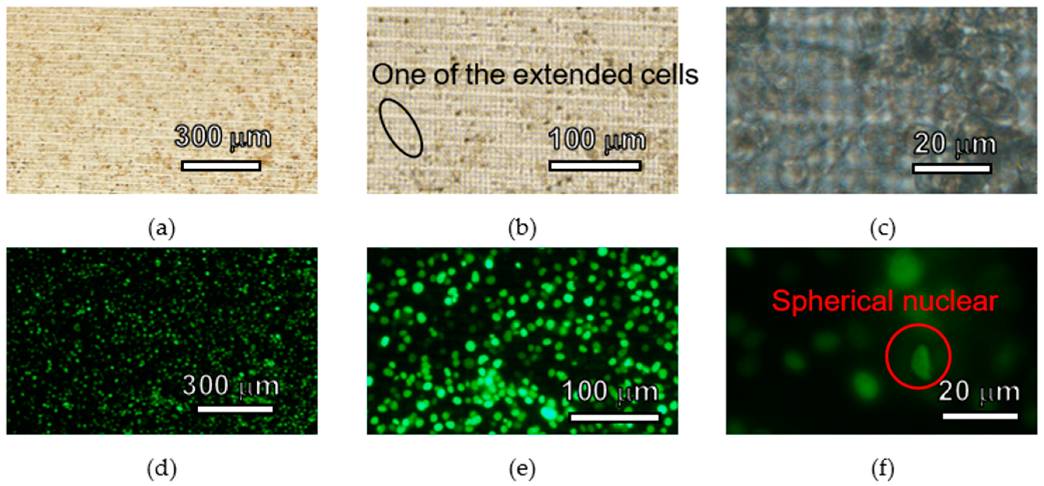 Micromachines 11 00571 g007 Micromachines 11 00571 g007