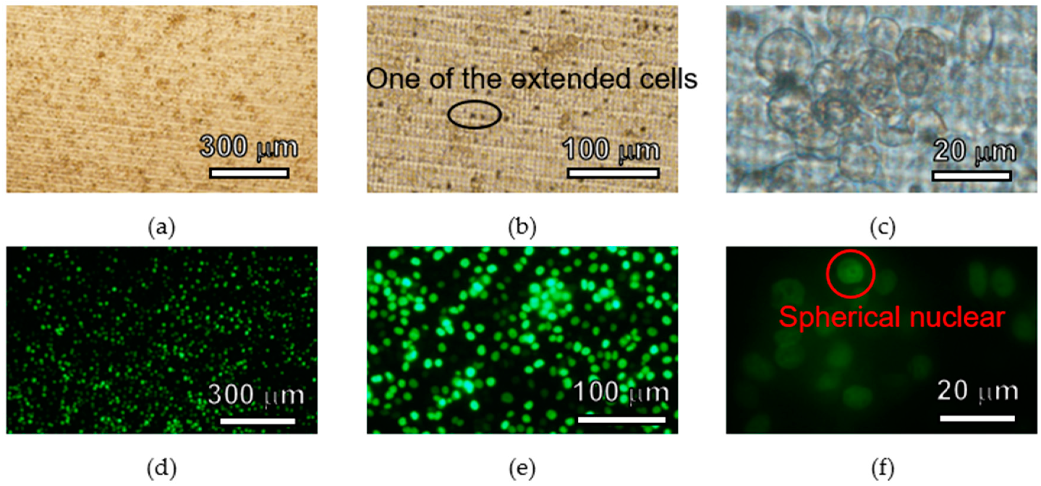 Micromachines 11 00571 g008 Micromachines 11 00571 g008