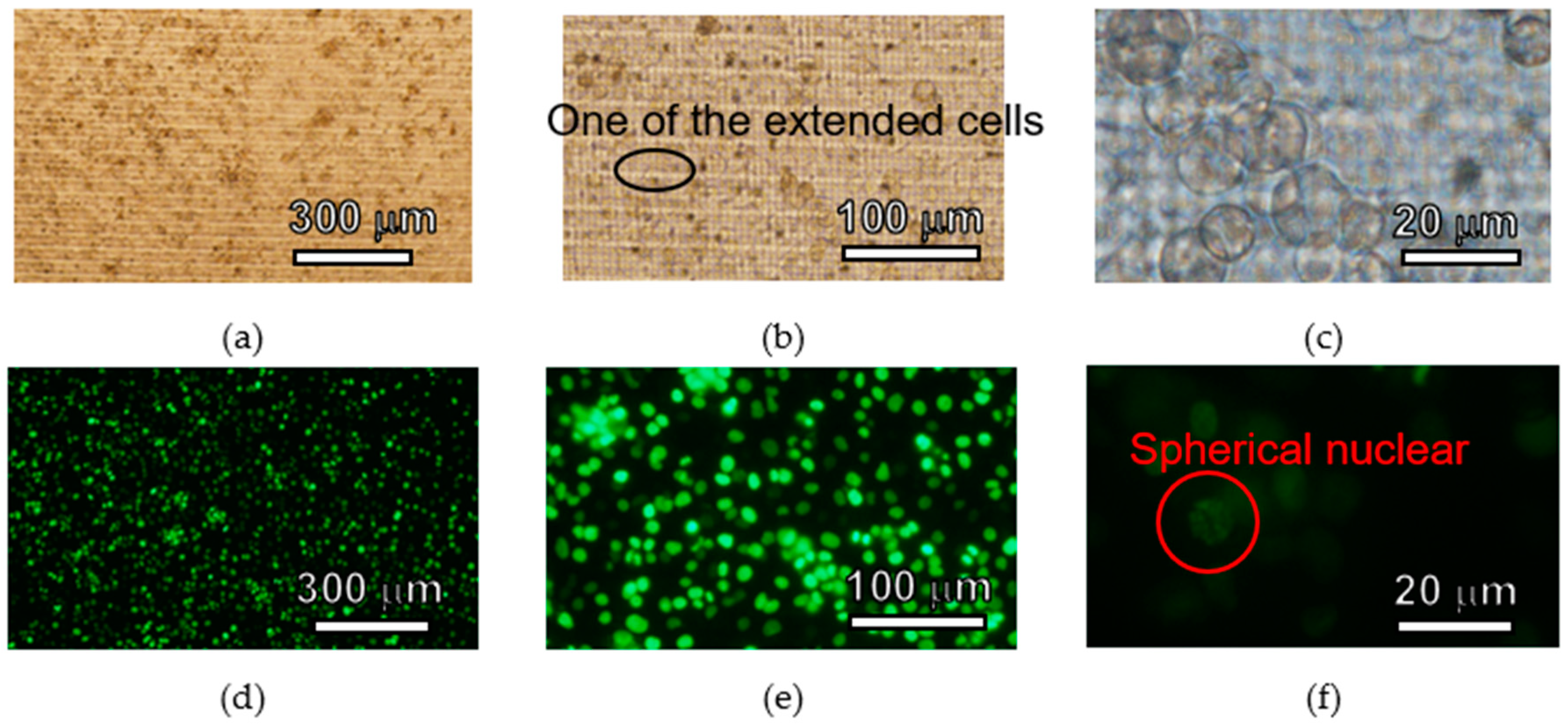 Micromachines 11 00571 g009 Micromachines 11 00571 g009