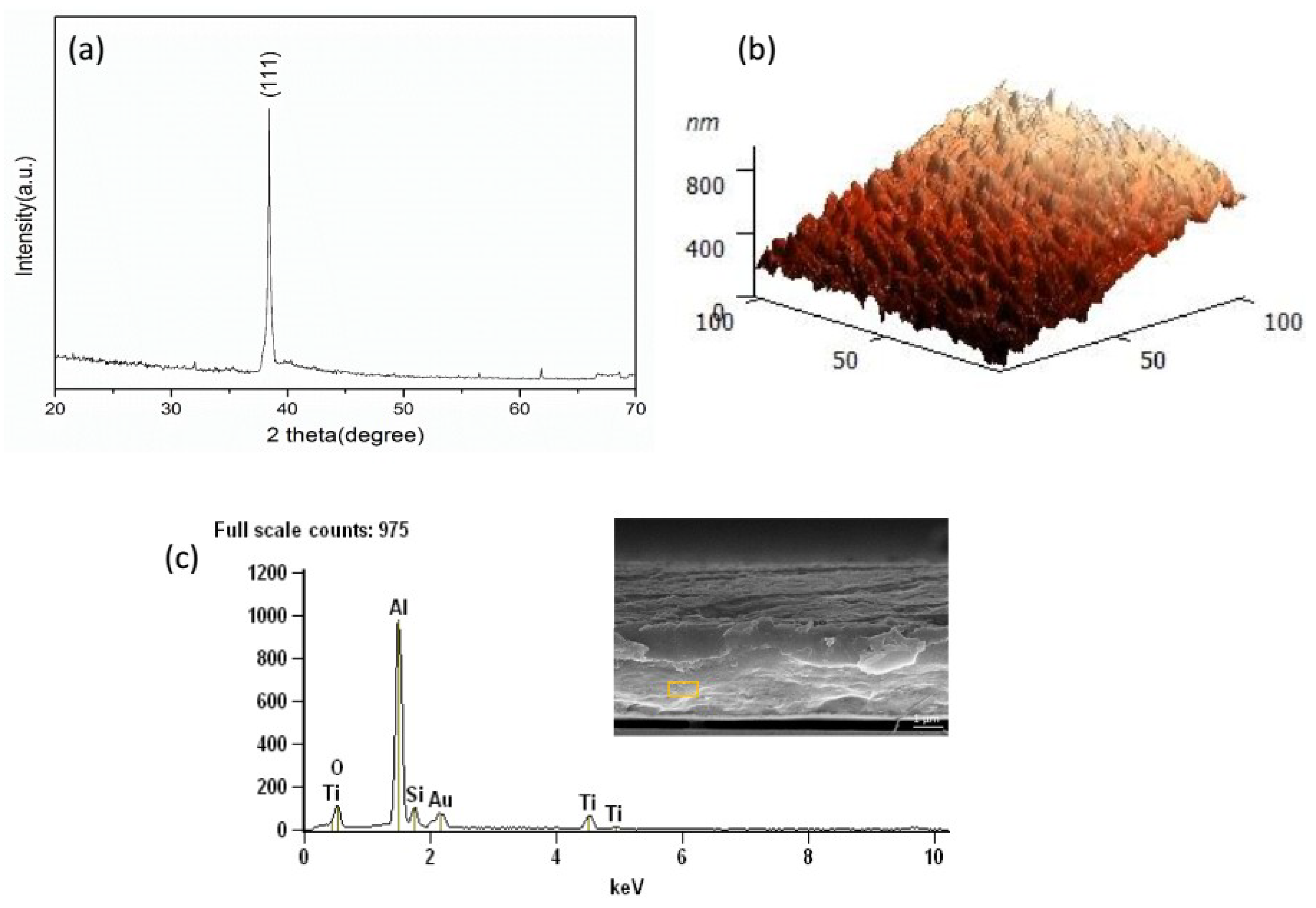 Micromachines 11 00575 g003