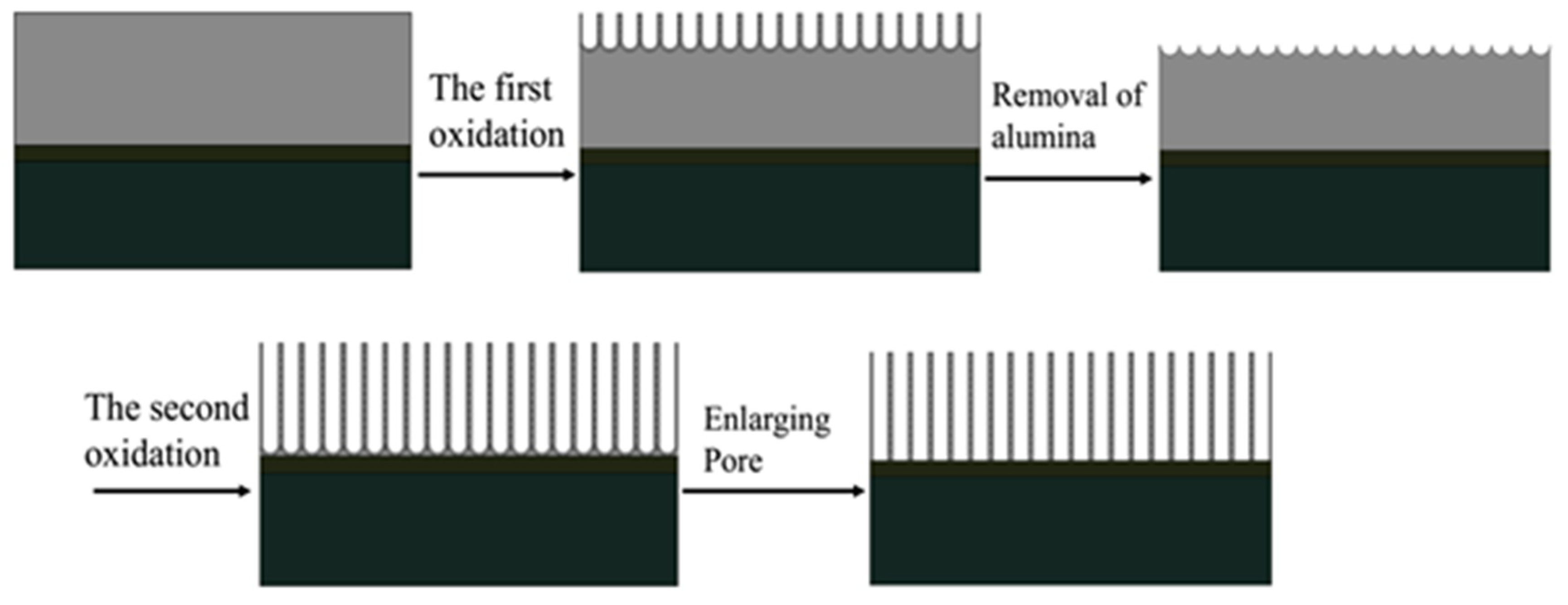 Micromachines 11 00575 g004