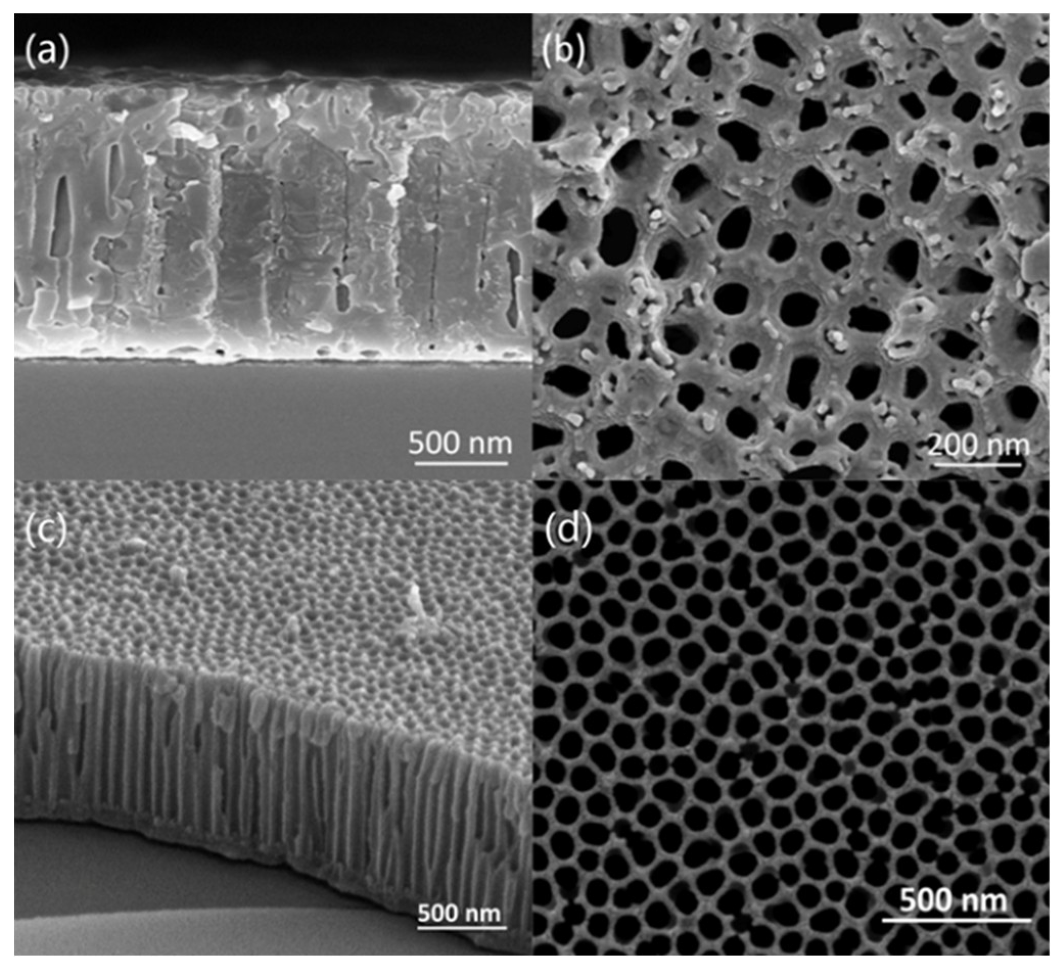 Micromachines 11 00575 g005