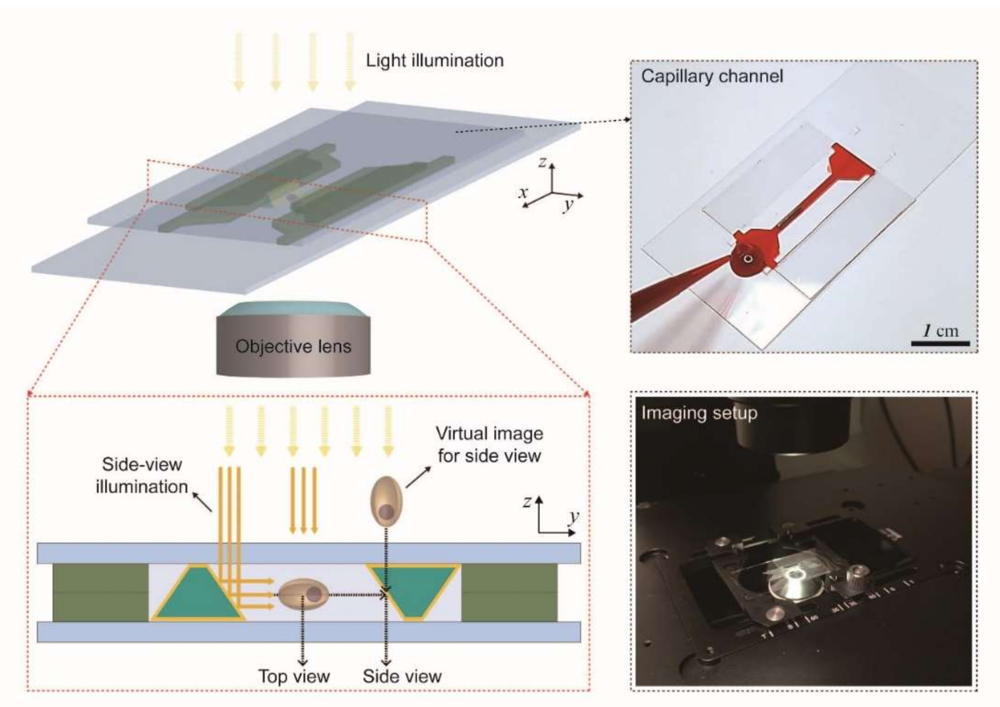 Micromachines 11 00582 g001 Micromachines 11 00582 g001
