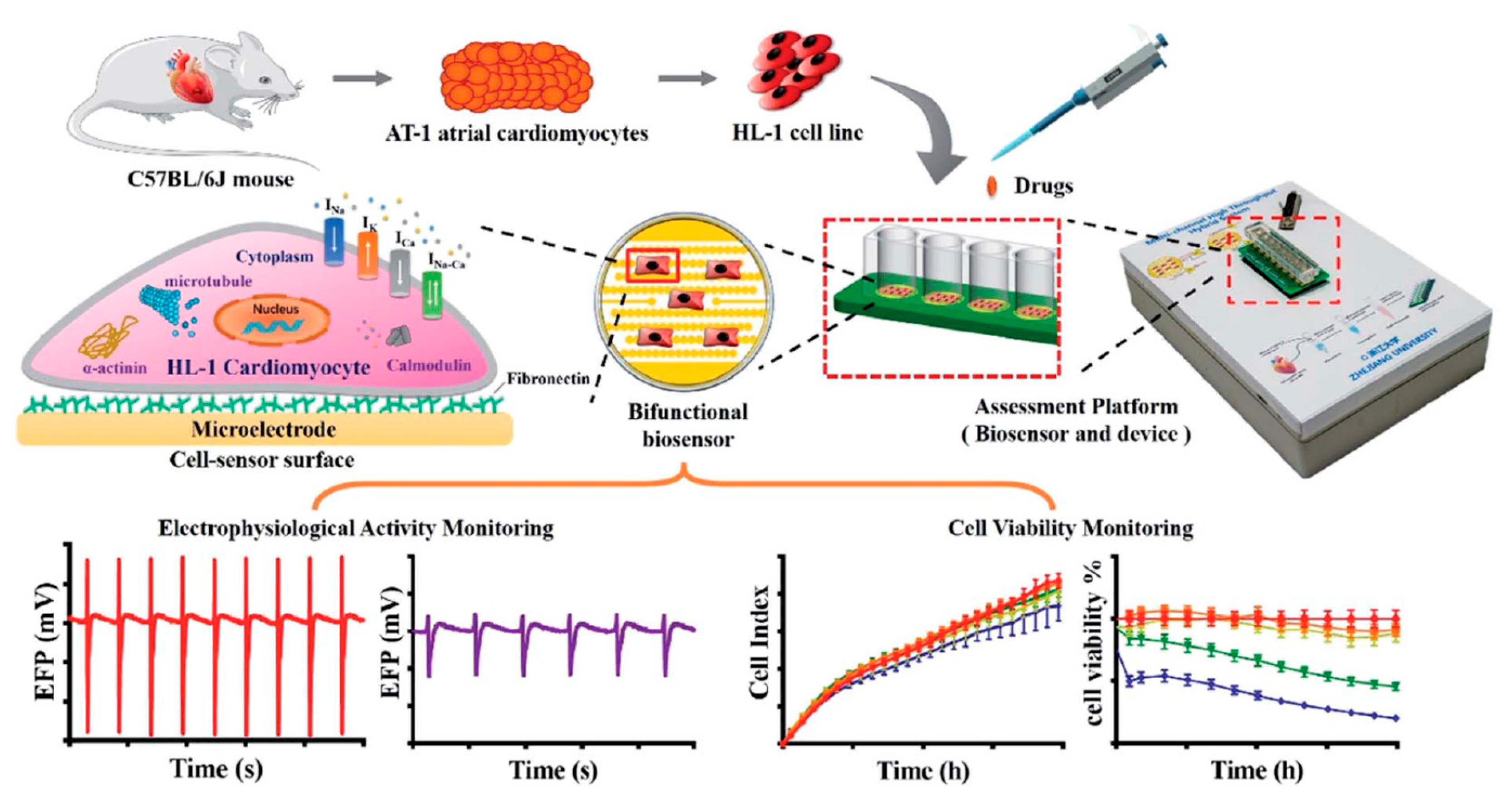 Micromachines 11 00590 g013 Micromachines 11 00590 g013