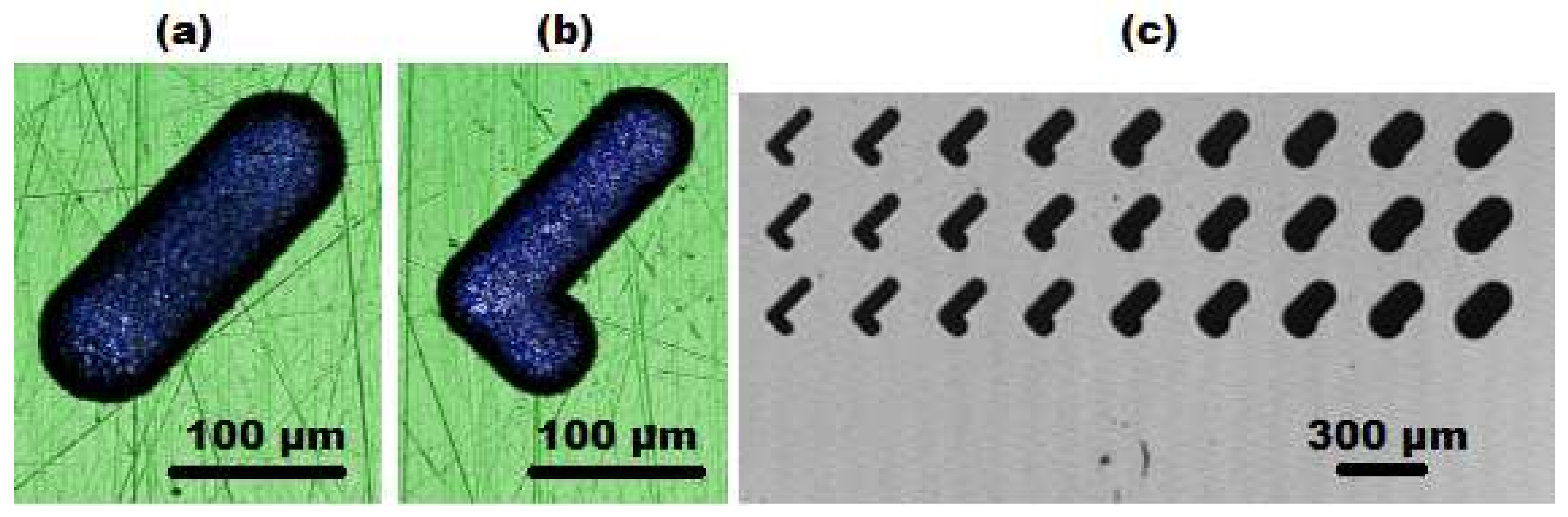 Micromachines 11 00594 g005 Micromachines 11 00594 g005