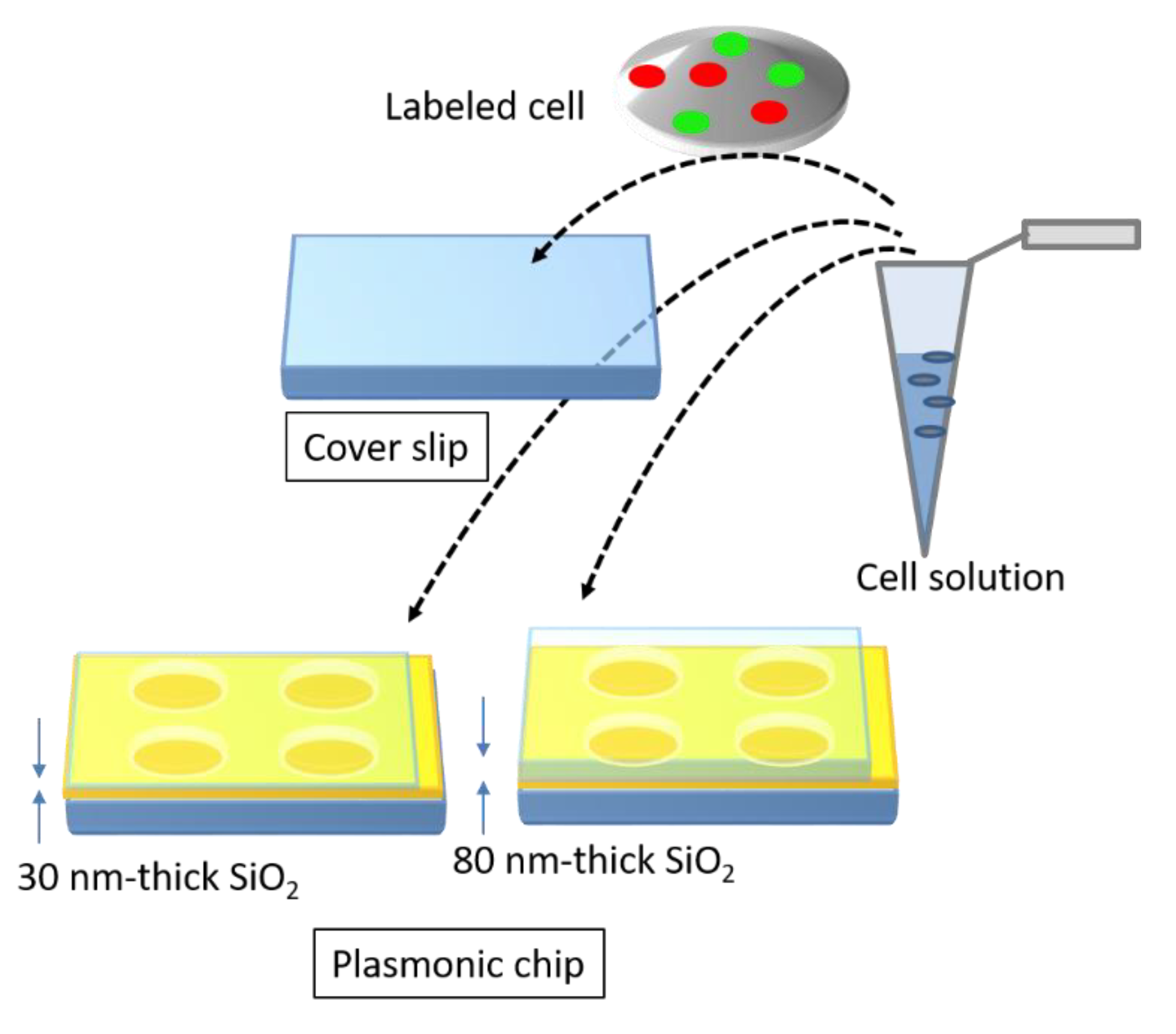 Micromachines 11 00604 g002 Micromachines 11 00604 g002