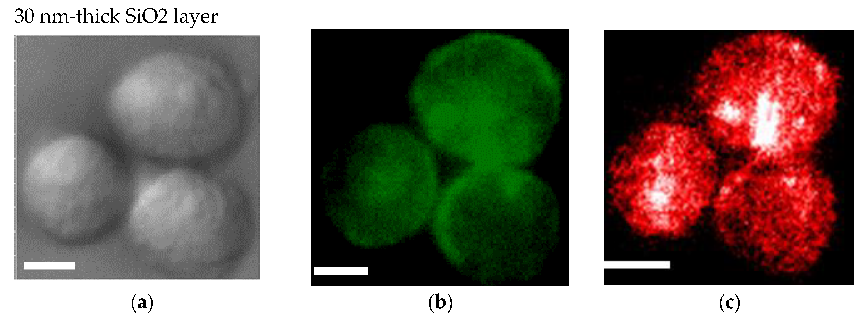 Micromachines 11 00604 g004a Micromachines 11 00604 g004a