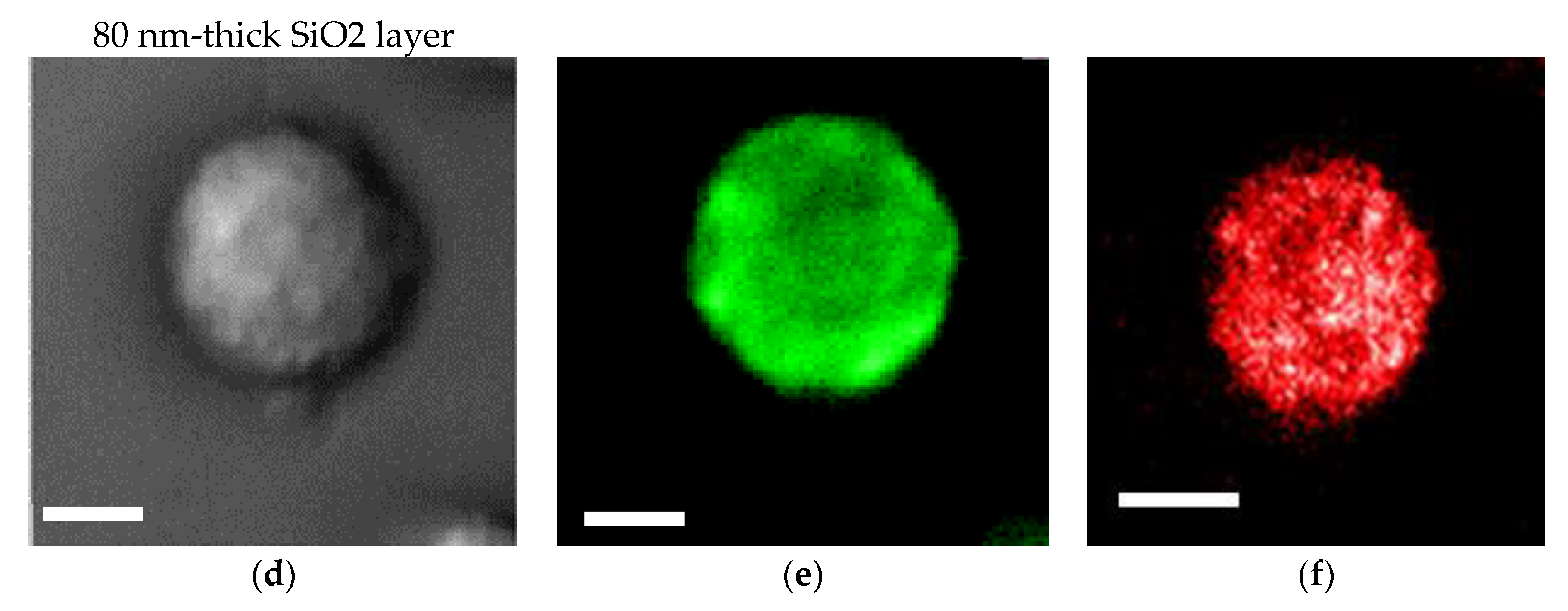 Micromachines 11 00604 g004b Micromachines 11 00604 g004b