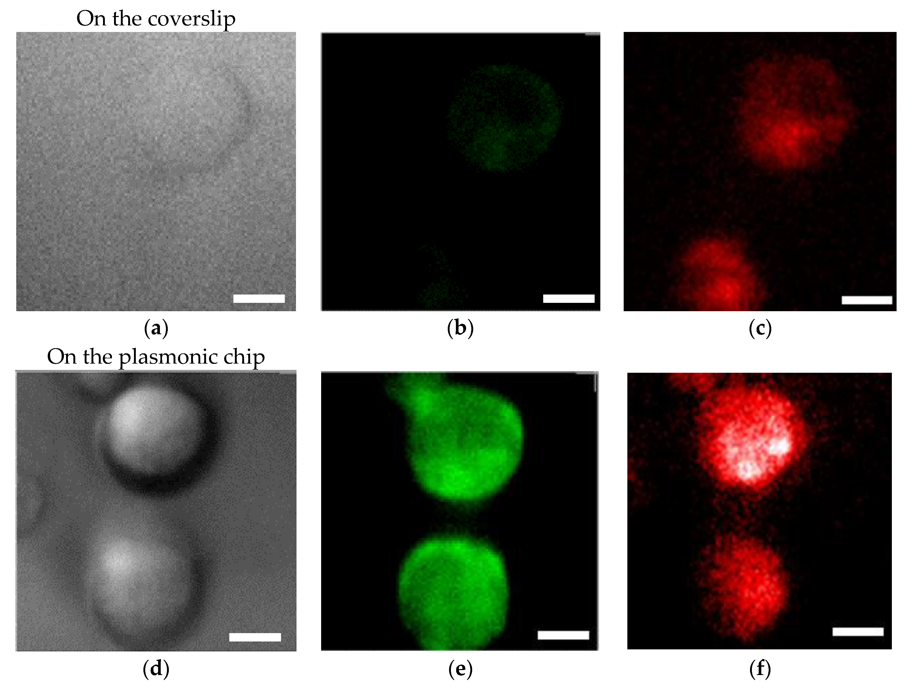 Micromachines 11 00604 g005 Micromachines 11 00604 g005