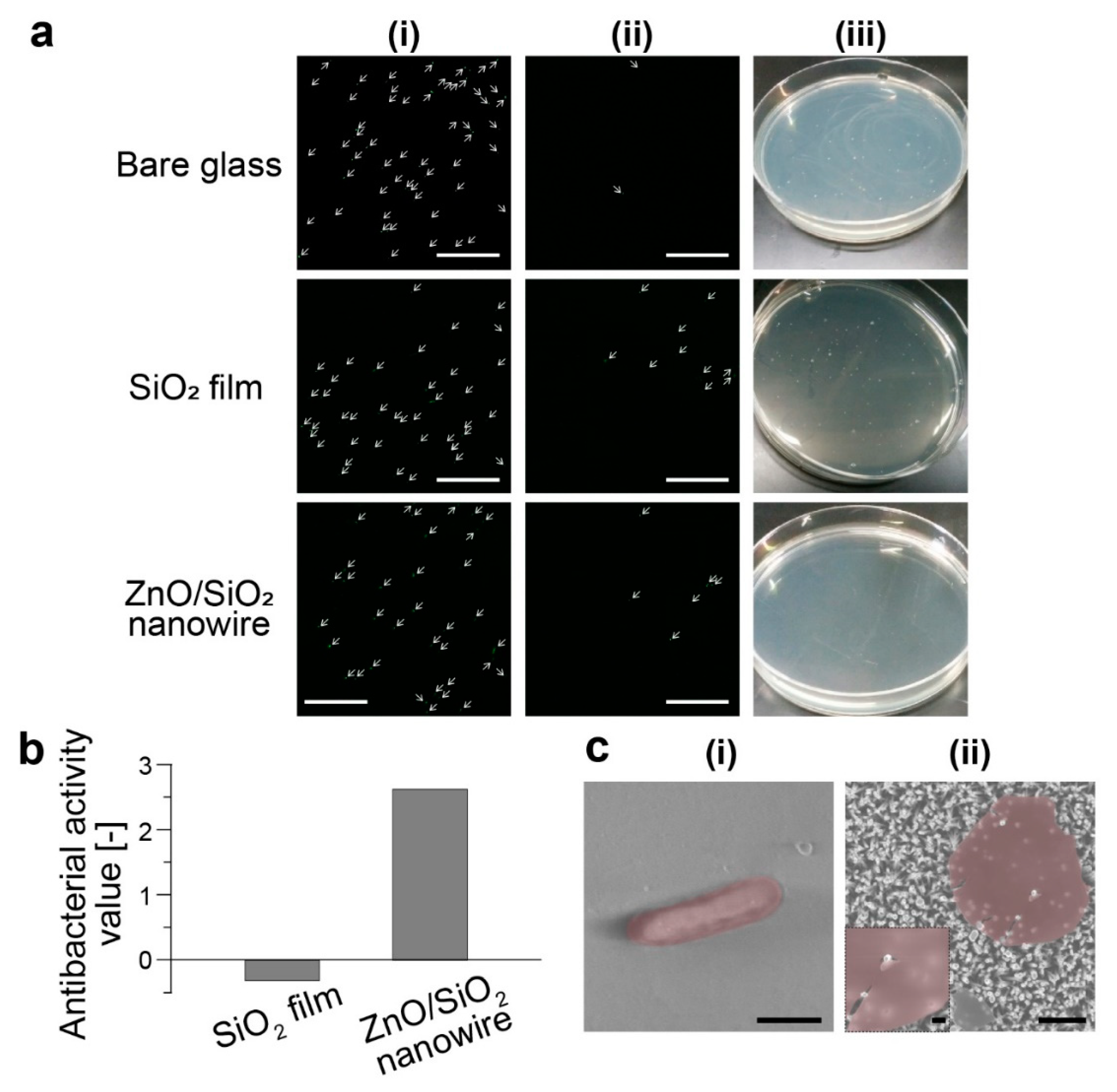 Micromachines 11 00610 g003 Micromachines 11 00610 g003