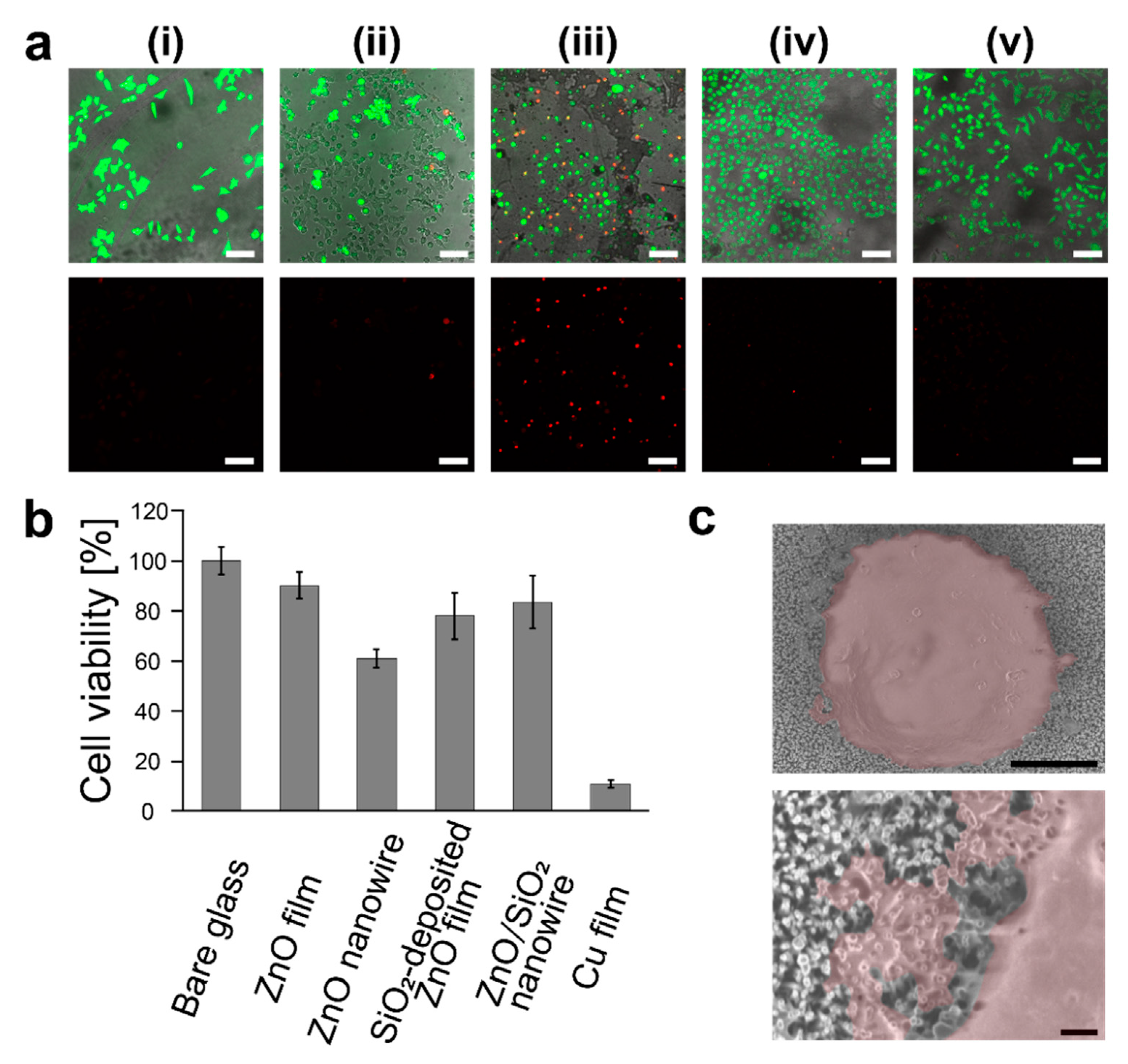 Micromachines 11 00610 g004 Micromachines 11 00610 g004