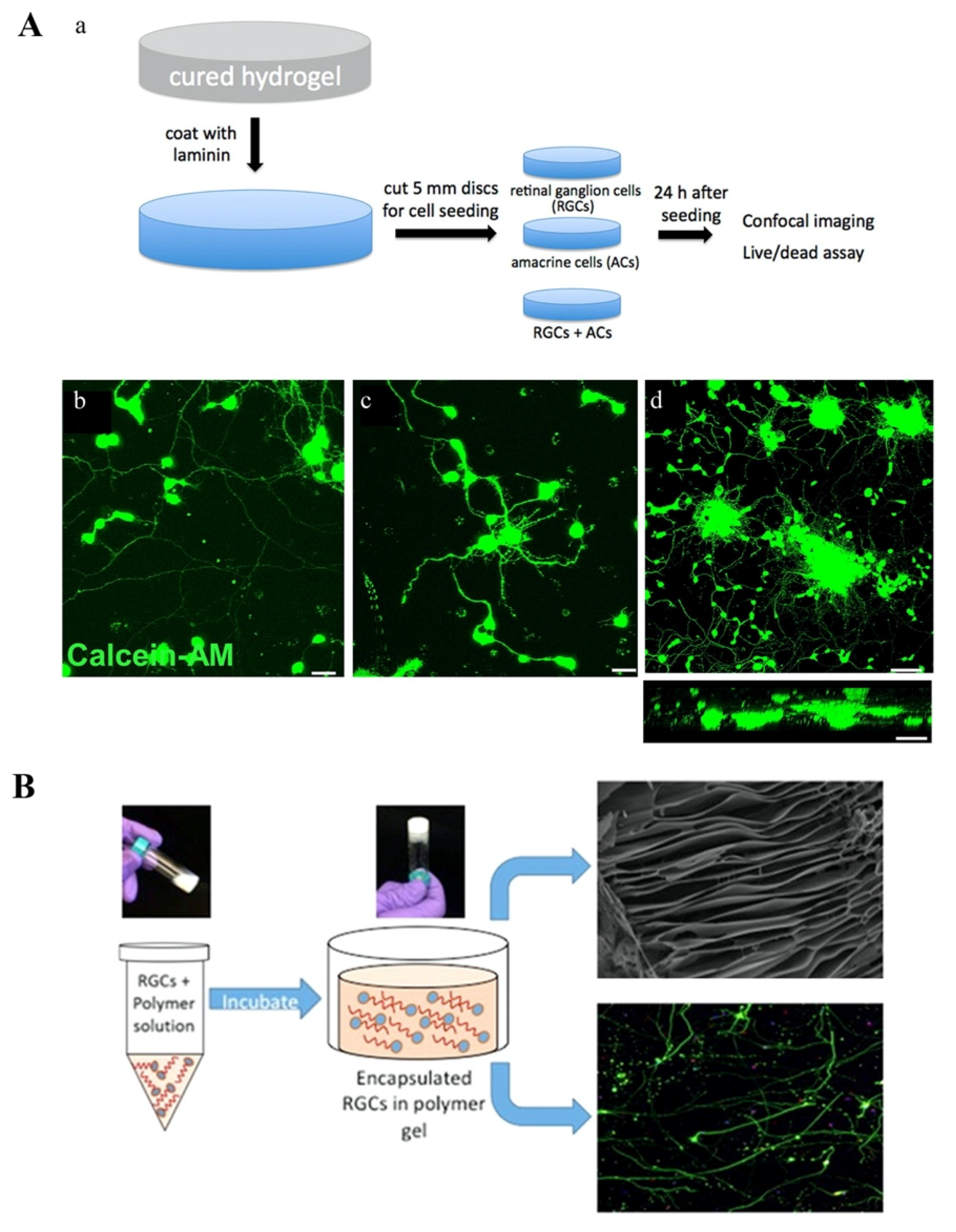 Micromachines 11 00612 g006 Micromachines 11 00612 g006