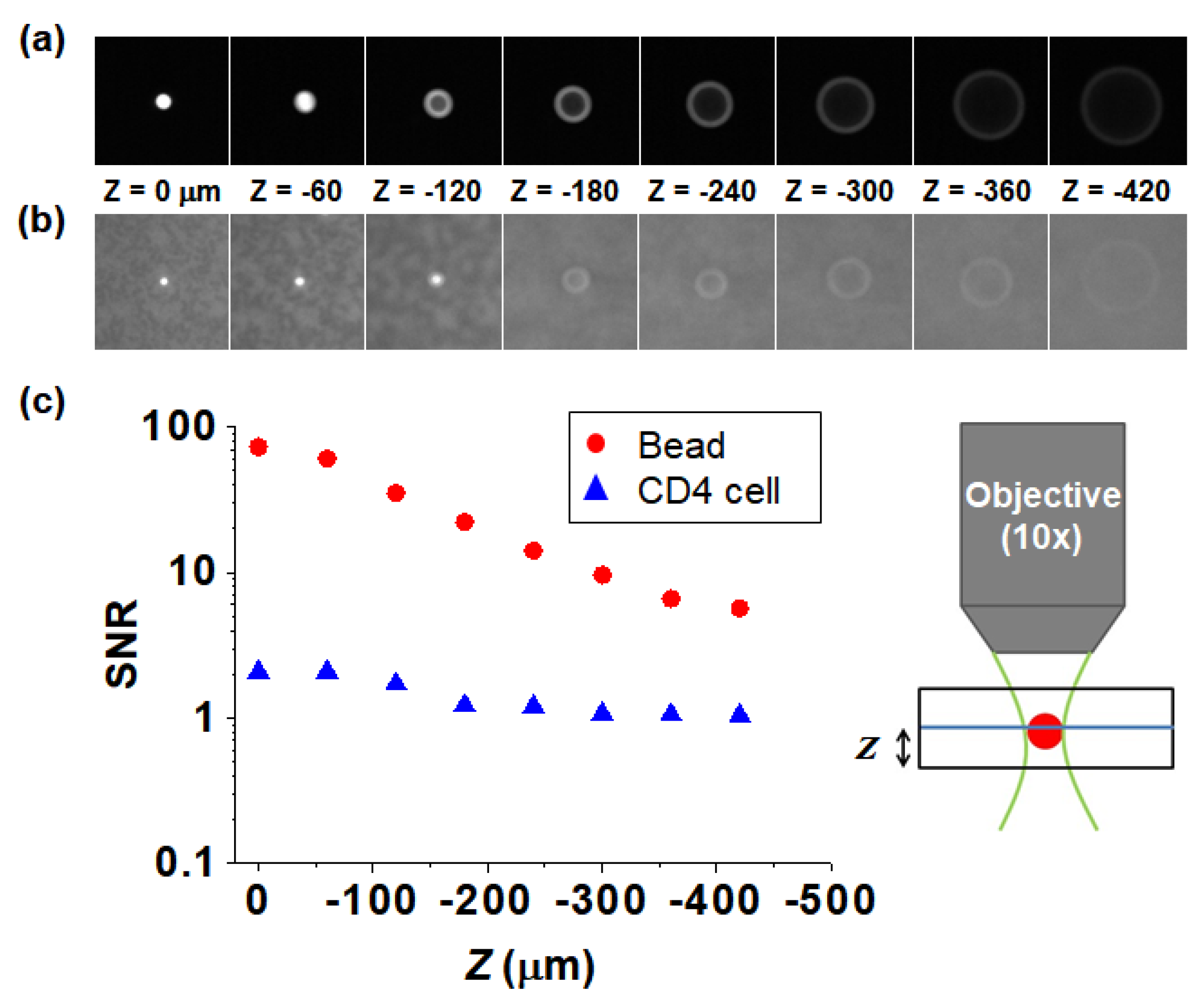 Micromachines 11 00618 g006