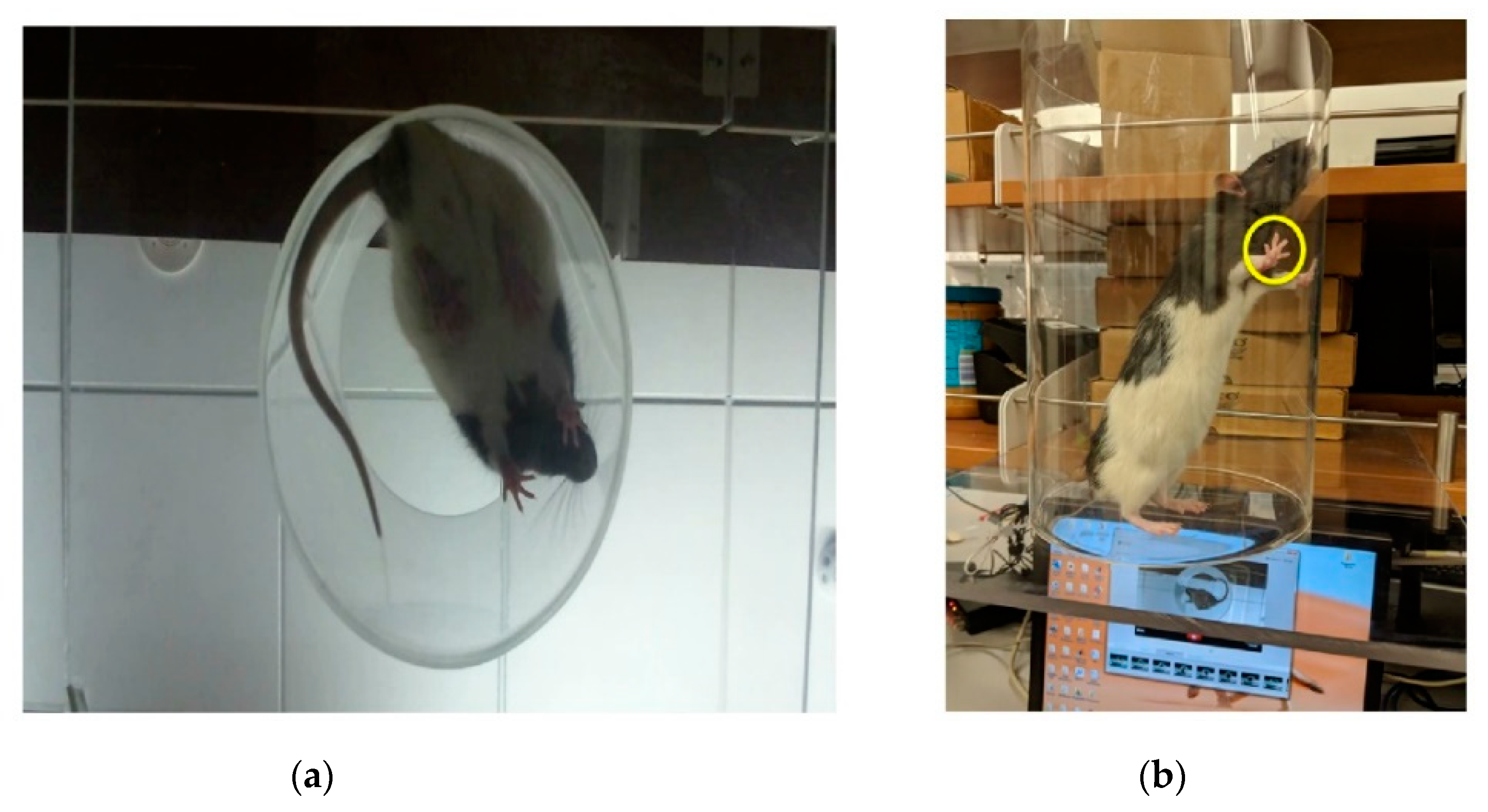 Micromachines 11 00619 g003 Micromachines 11 00619 g003