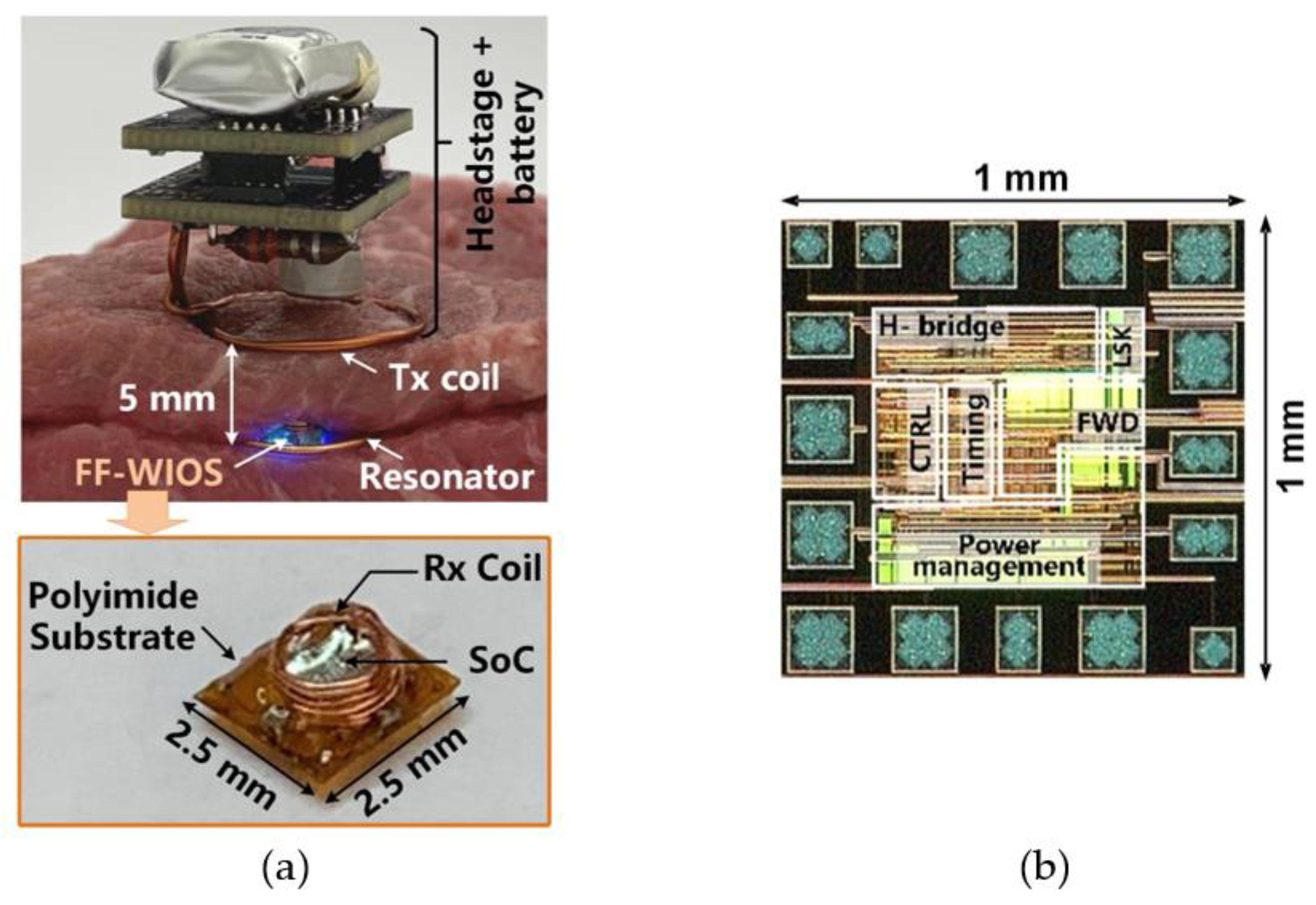 Micromachines 11 00621 g004 Micromachines 11 00621 g004