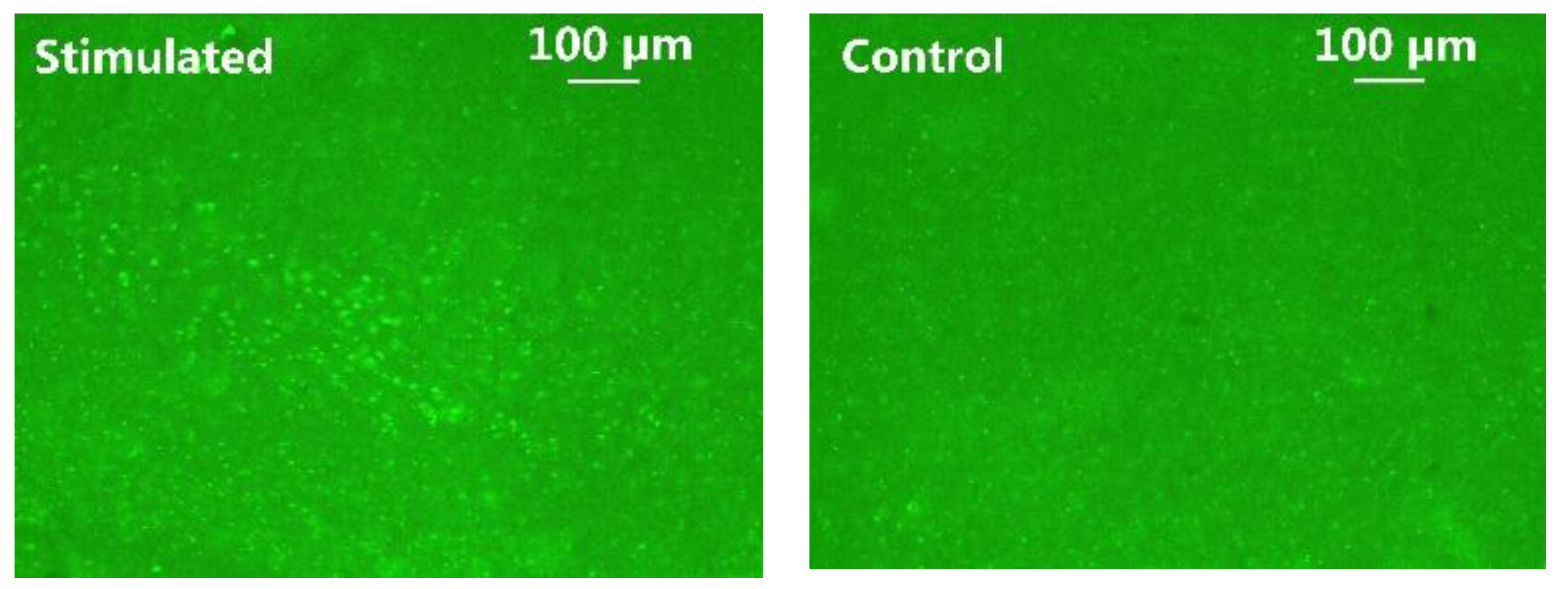 Micromachines 11 00621 g014 Micromachines 11 00621 g014