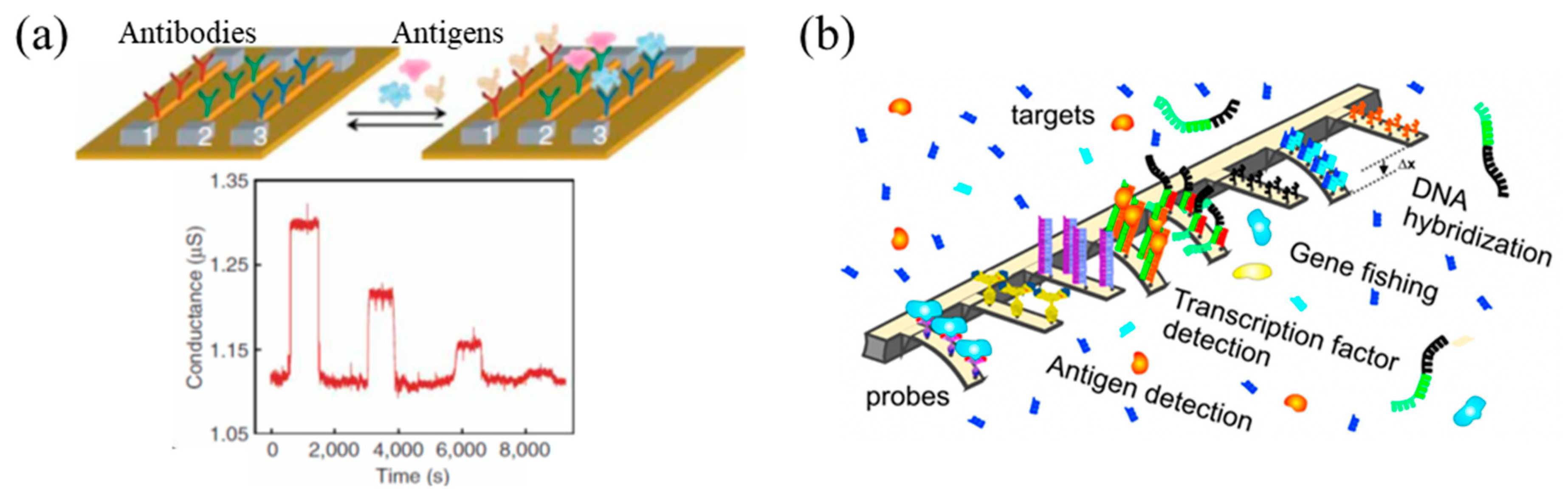 Biosensors Integration in Blood–Brain Barrier-on-a-Chip: Emerging Platform  for Monitoring Neurodegenerative Diseases