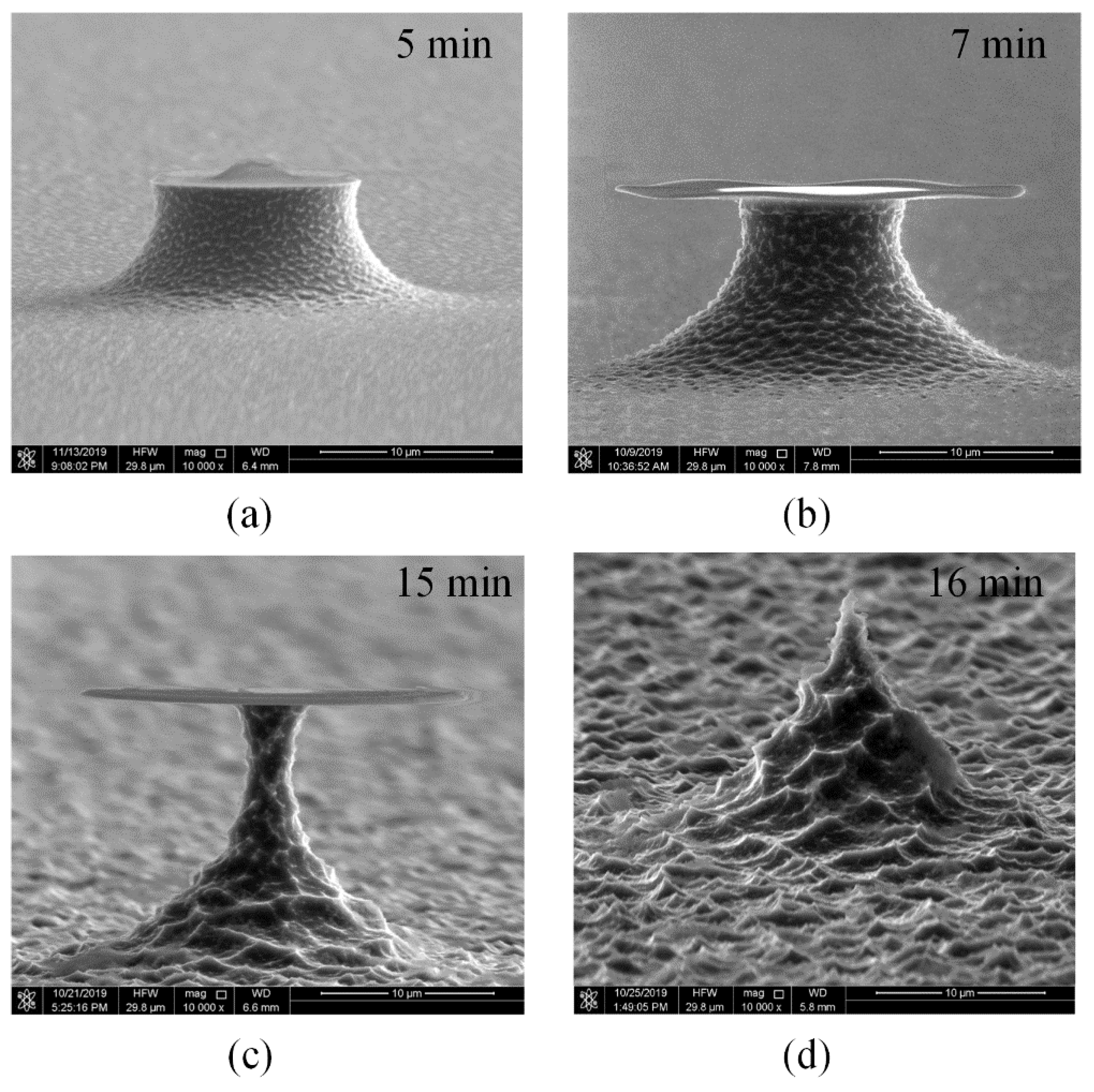 Micromachines 11 00638 g003