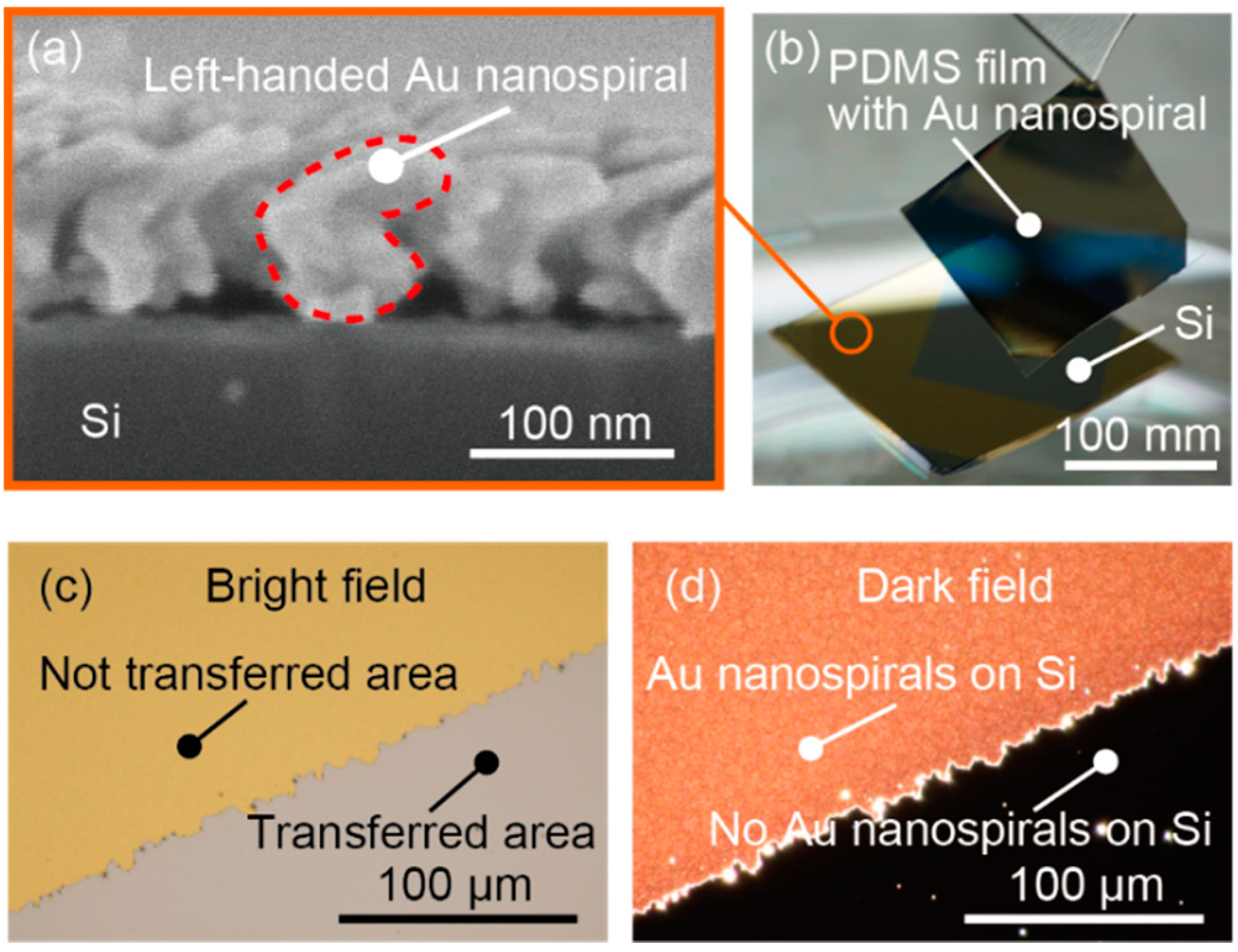 Micromachines 11 00641 g005 Micromachines 11 00641 g005