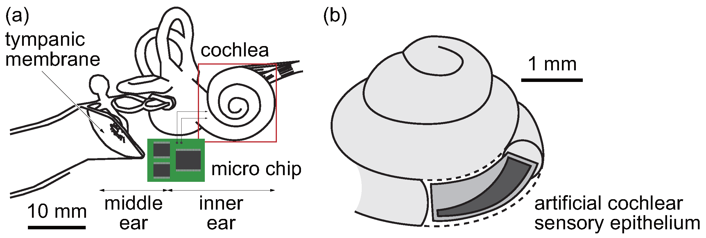 Micromachines 11 00644 g0a1 Micromachines 11 00644 g0a1