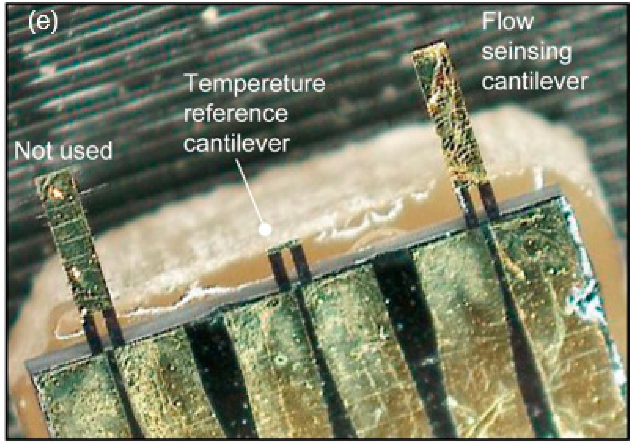 Micromachines 11 00647 g002c