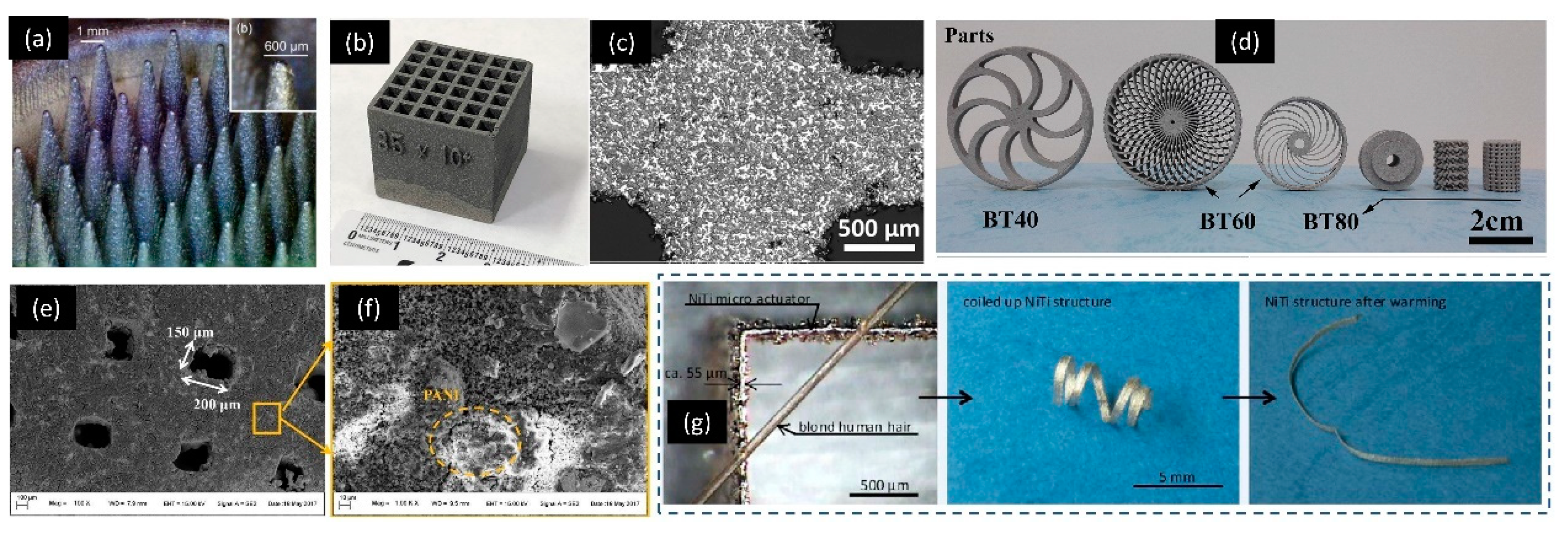 Micromachines 11 00658 g009 Micromachines 11 00658 g009