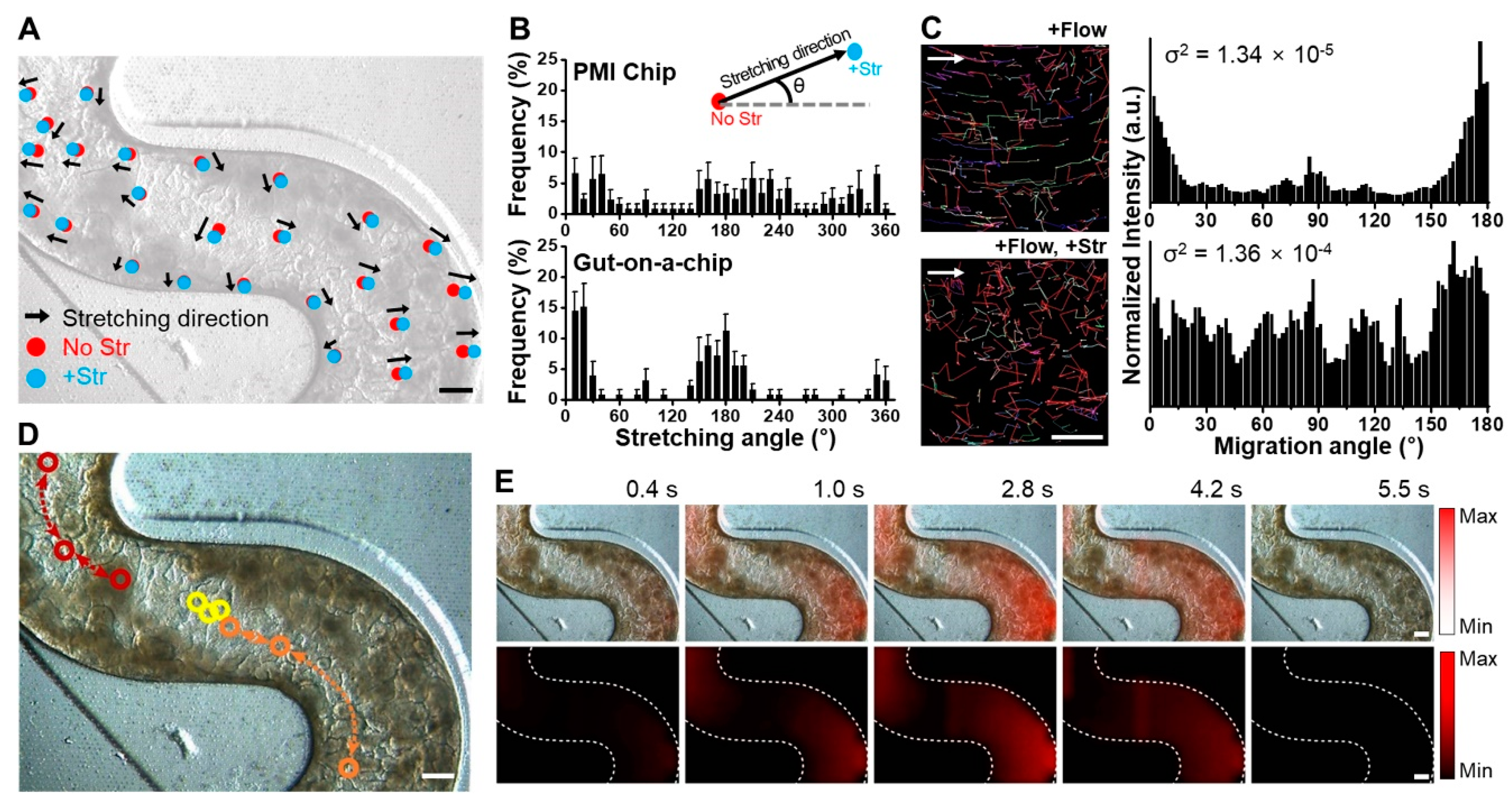 Micromachines 11 00663 g002